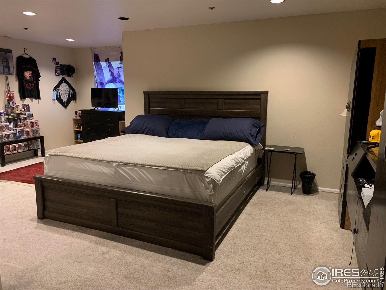 MLS Image #12 for 1601  great western drive,longmont, Colorado