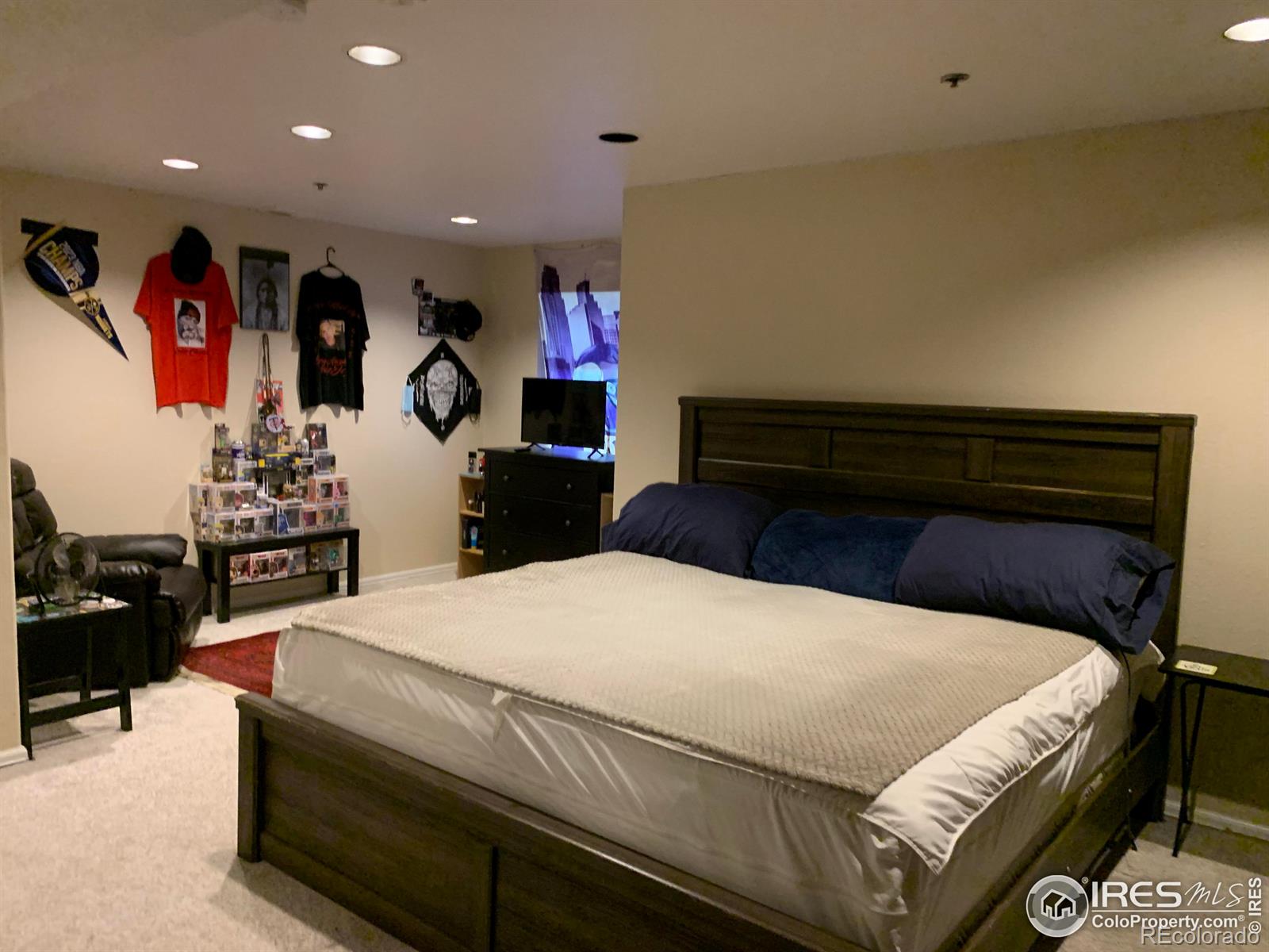 MLS Image #13 for 1601  great western drive,longmont, Colorado