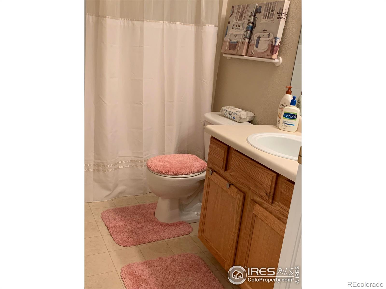 MLS Image #18 for 1601  great western drive,longmont, Colorado