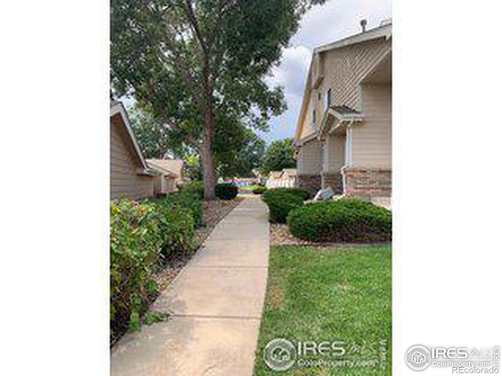 MLS Image #23 for 1601  great western drive,longmont, Colorado