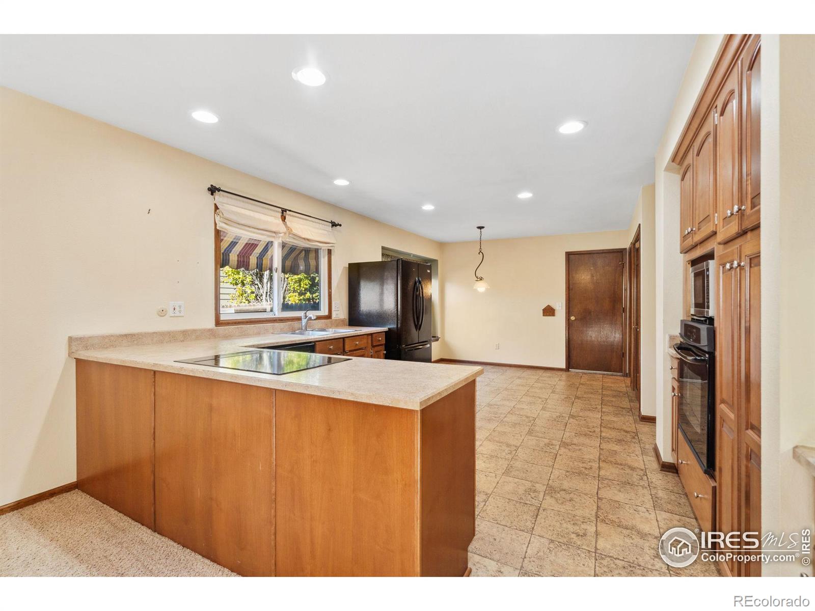 MLS Image #13 for 1331  ticonderoga drive,fort collins, Colorado