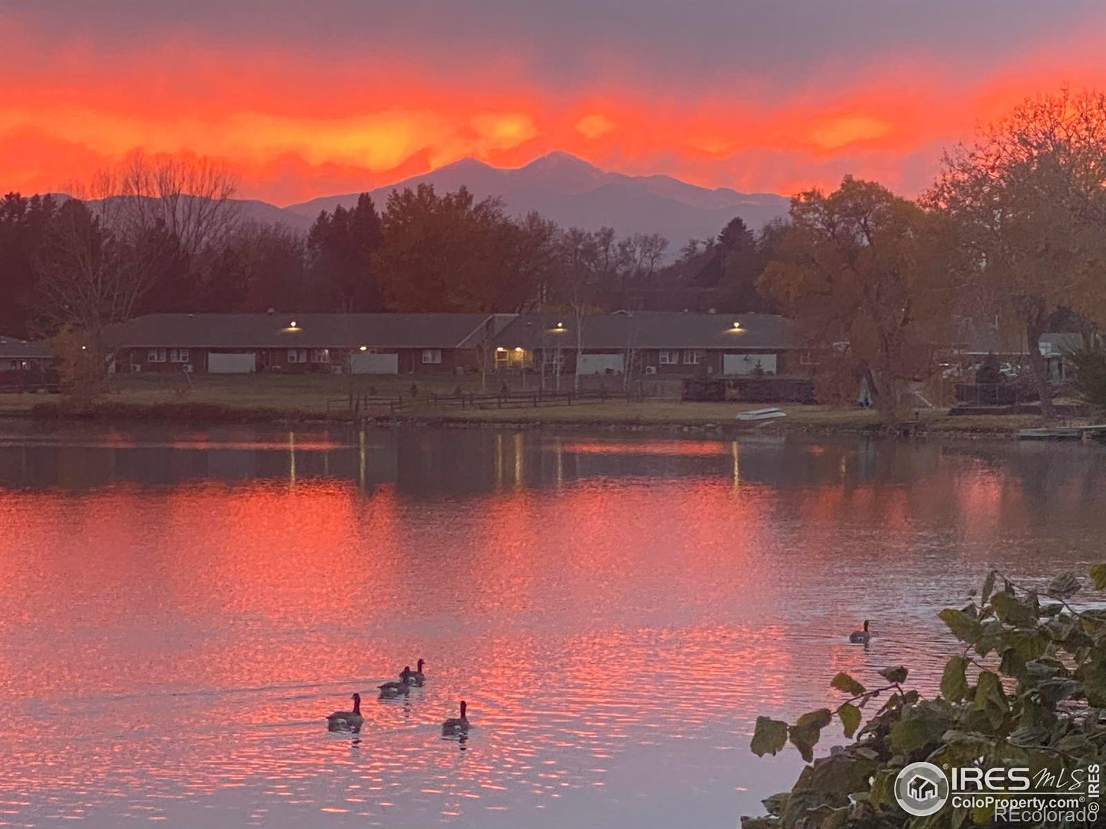 MLS Image #31 for 868  oleander drive,loveland, Colorado