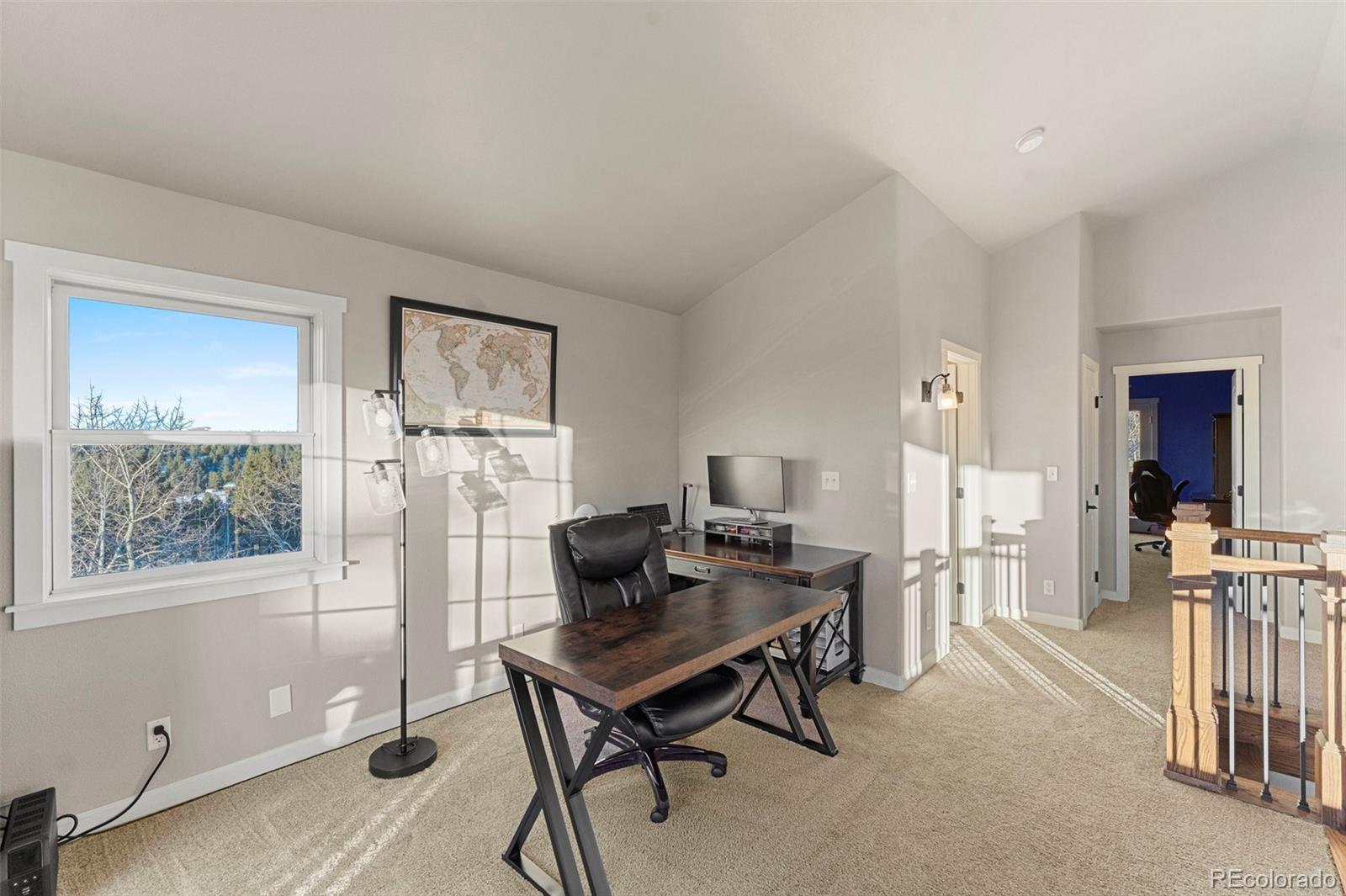 MLS Image #20 for 507  spruce lake drive,divide, Colorado