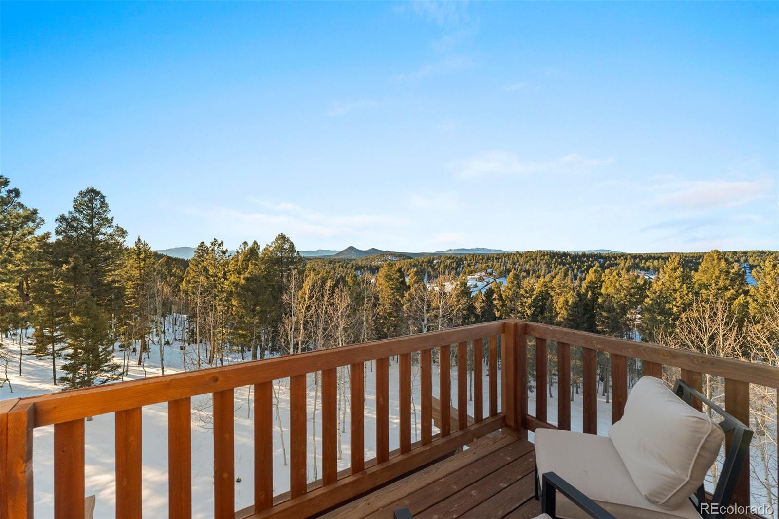 MLS Image #21 for 507  spruce lake drive,divide, Colorado