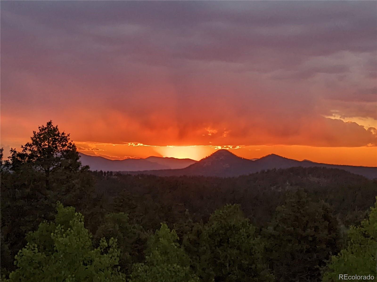 MLS Image #22 for 507  spruce lake drive,divide, Colorado