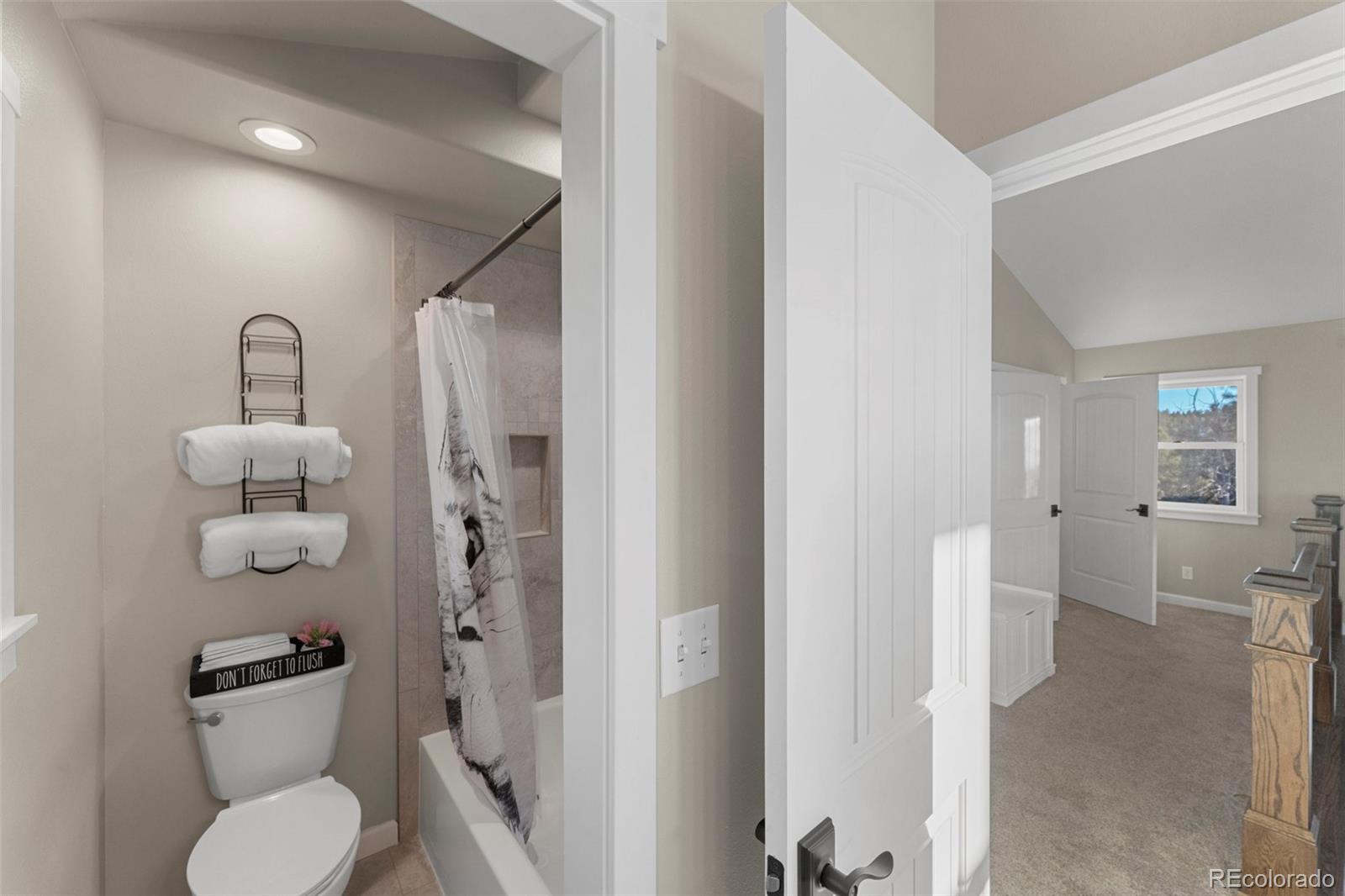 MLS Image #24 for 507  spruce lake drive,divide, Colorado