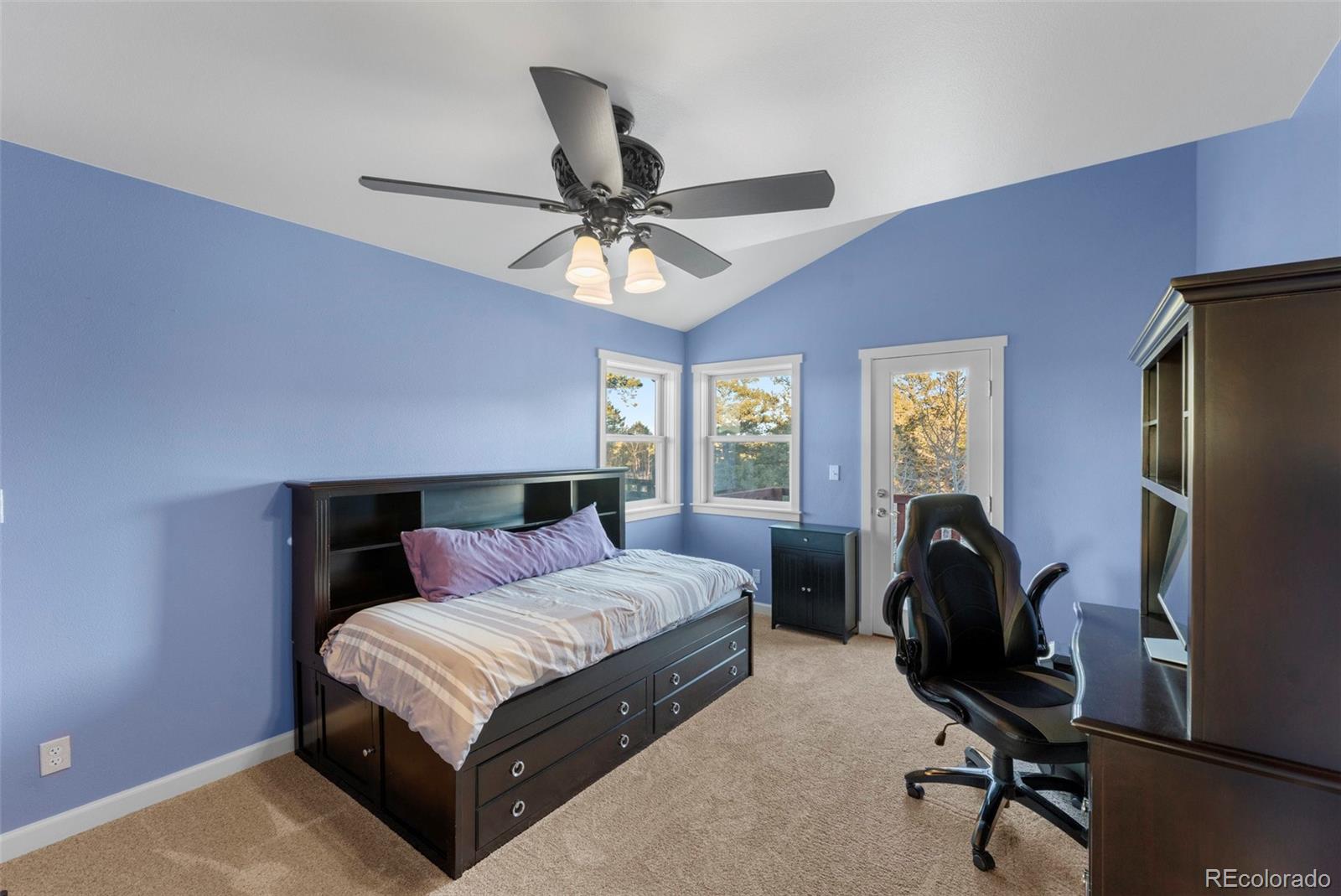MLS Image #25 for 507  spruce lake drive,divide, Colorado
