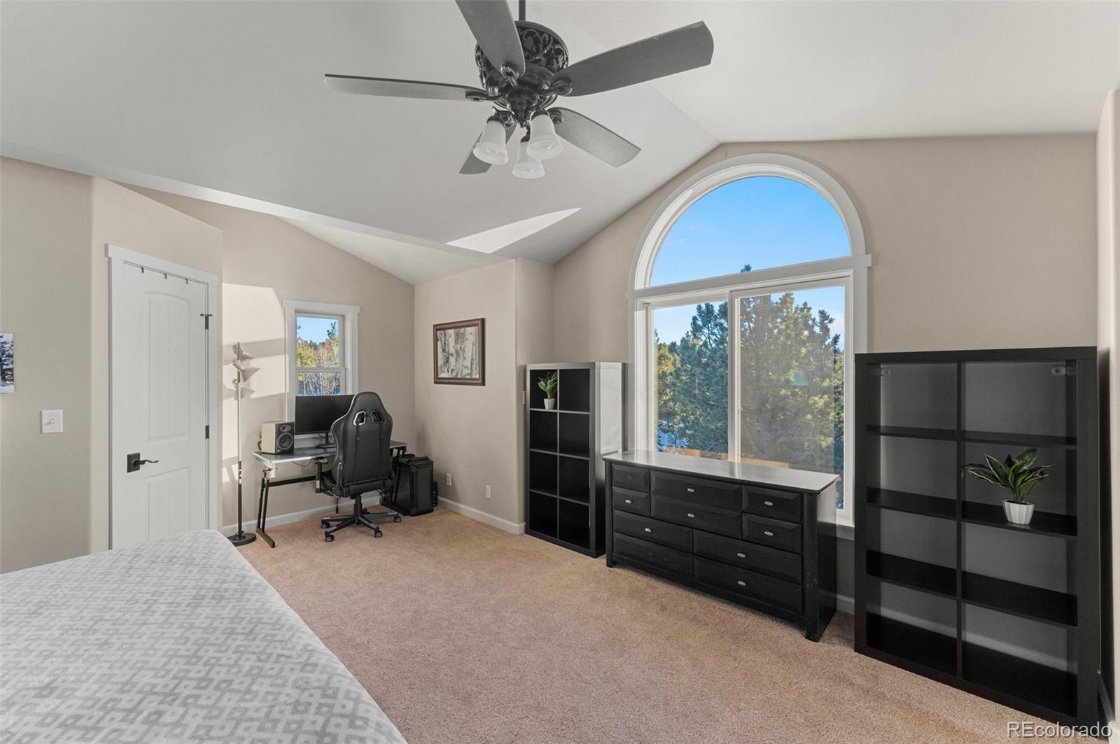 MLS Image #27 for 507  spruce lake drive,divide, Colorado