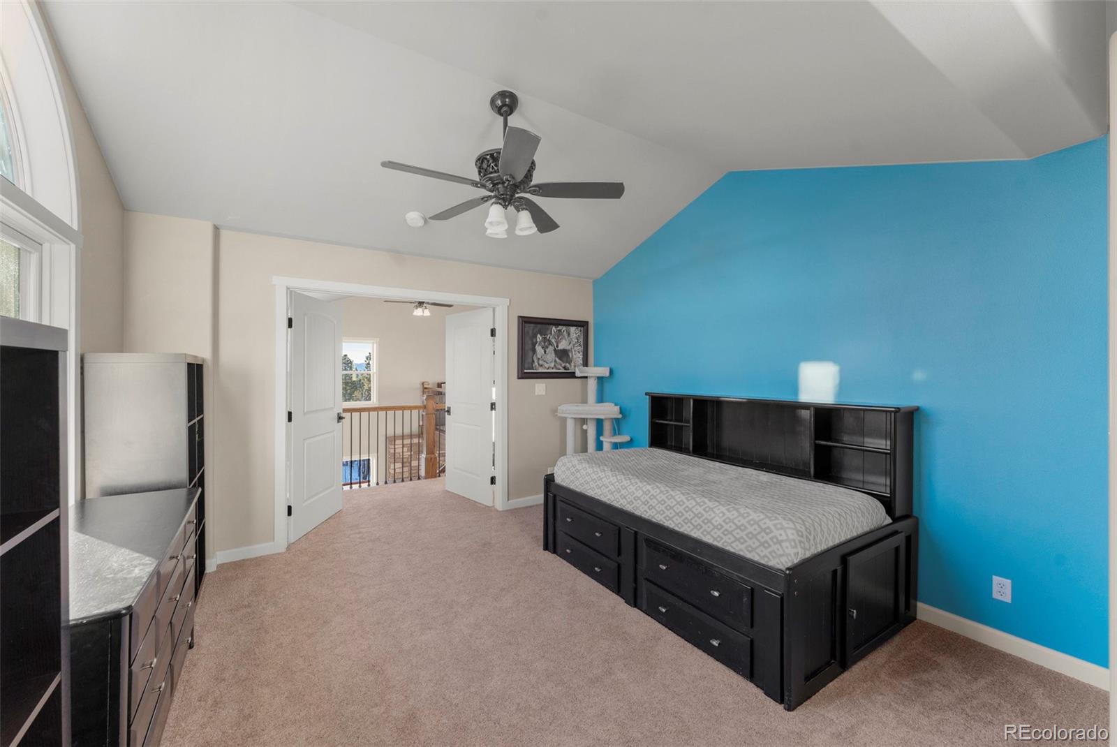 MLS Image #28 for 507  spruce lake drive,divide, Colorado