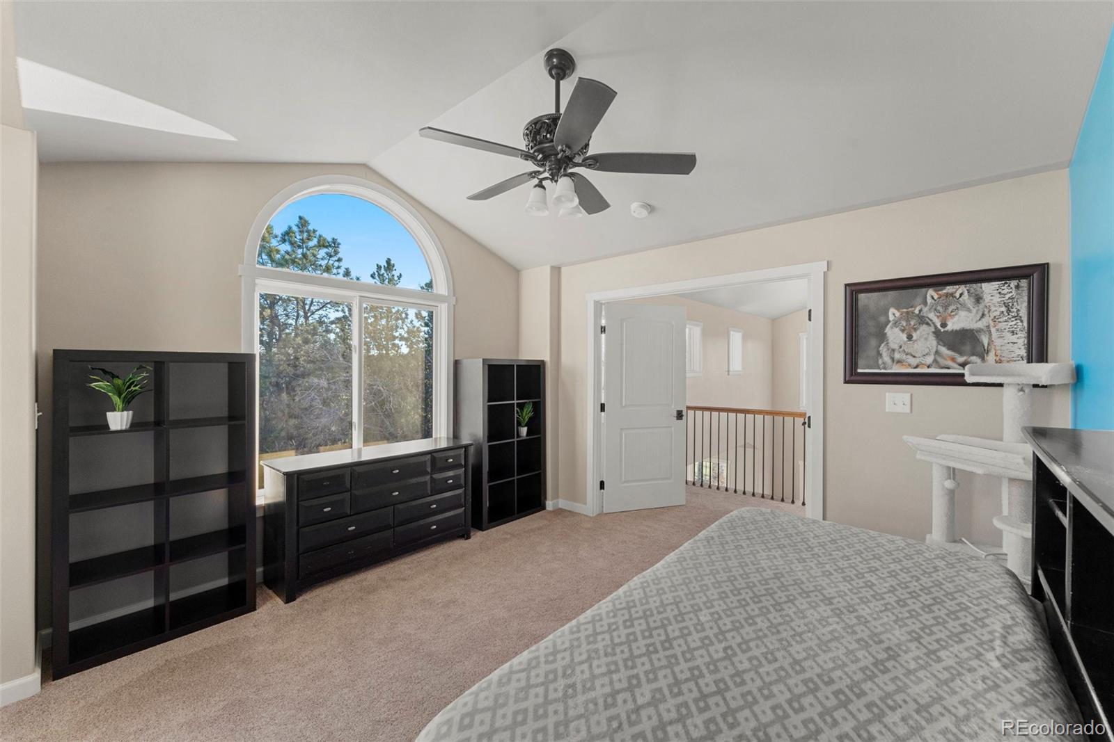 MLS Image #29 for 507  spruce lake drive,divide, Colorado