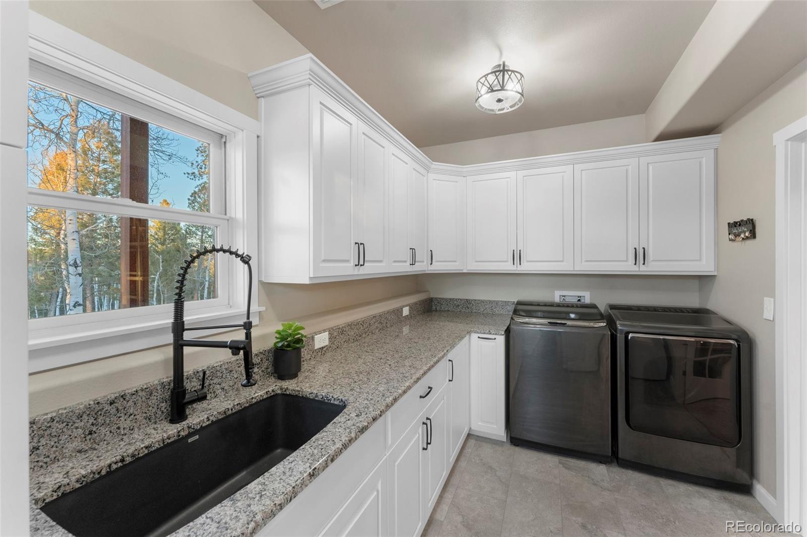 MLS Image #39 for 507  spruce lake drive,divide, Colorado