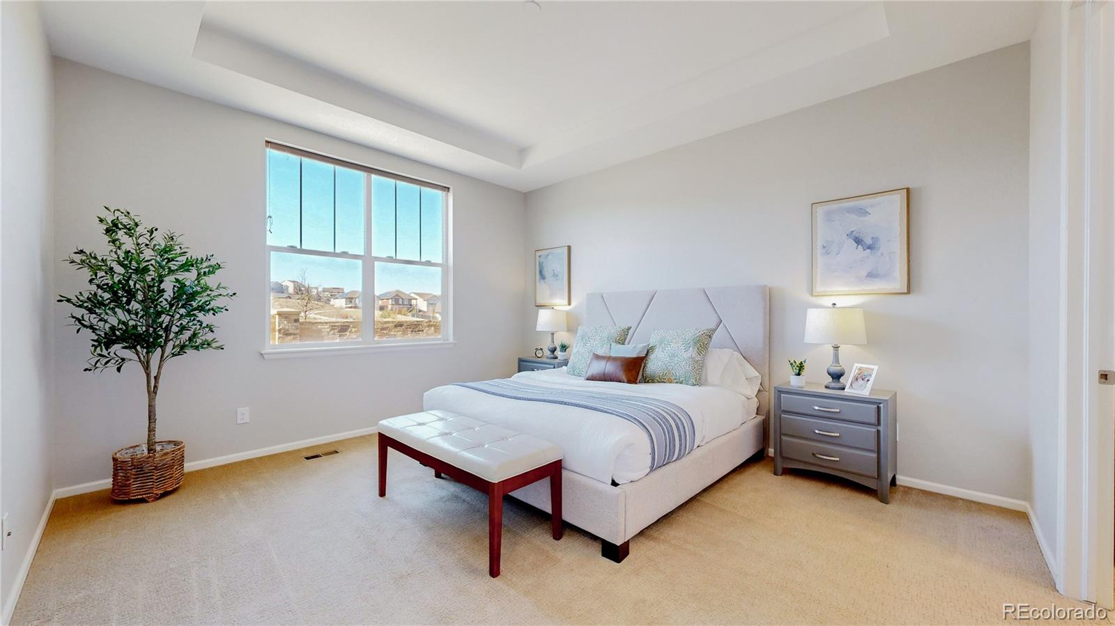 MLS Image #16 for 3565  new haven circle,castle rock, Colorado