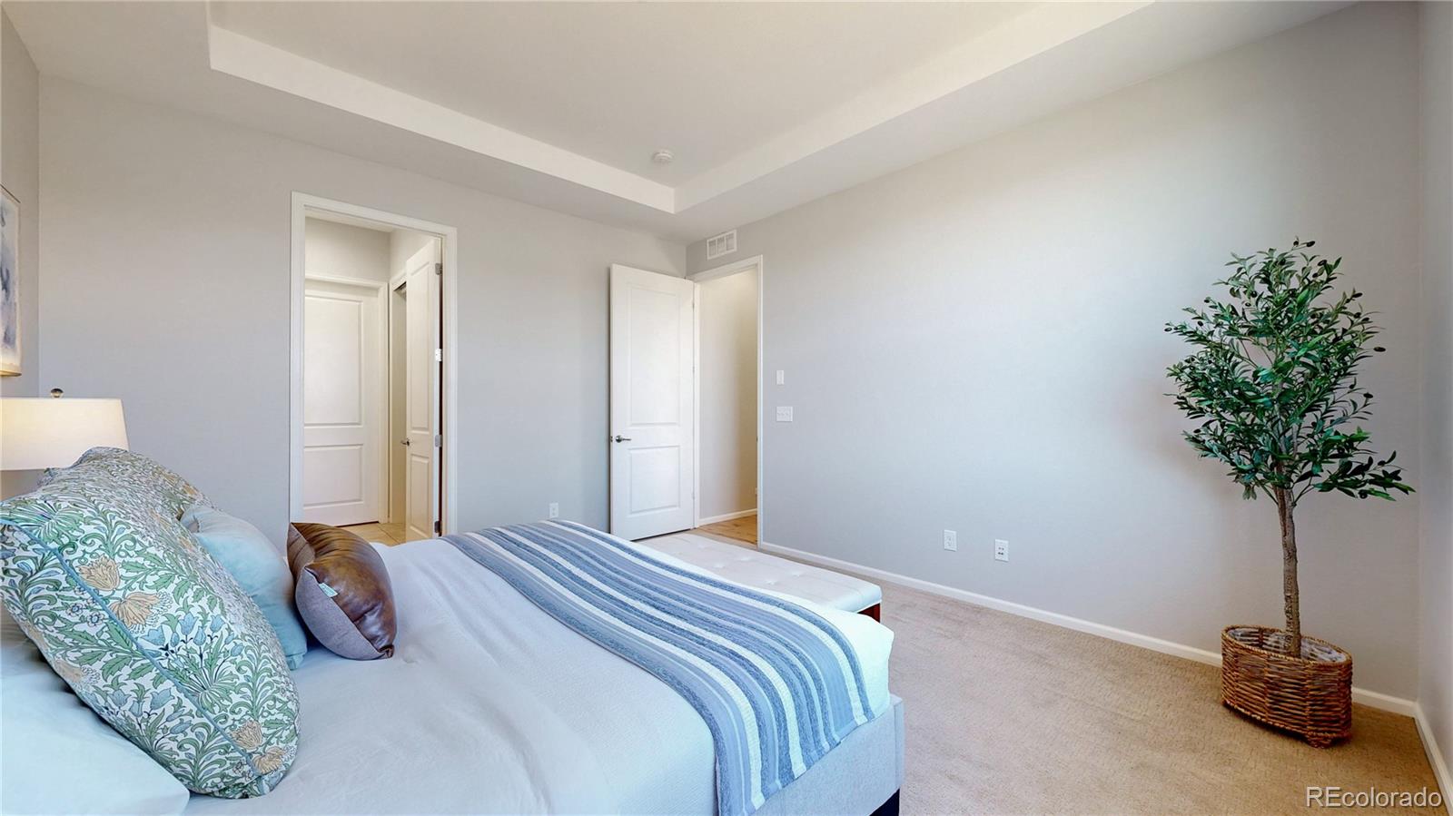 MLS Image #17 for 3565  new haven circle,castle rock, Colorado