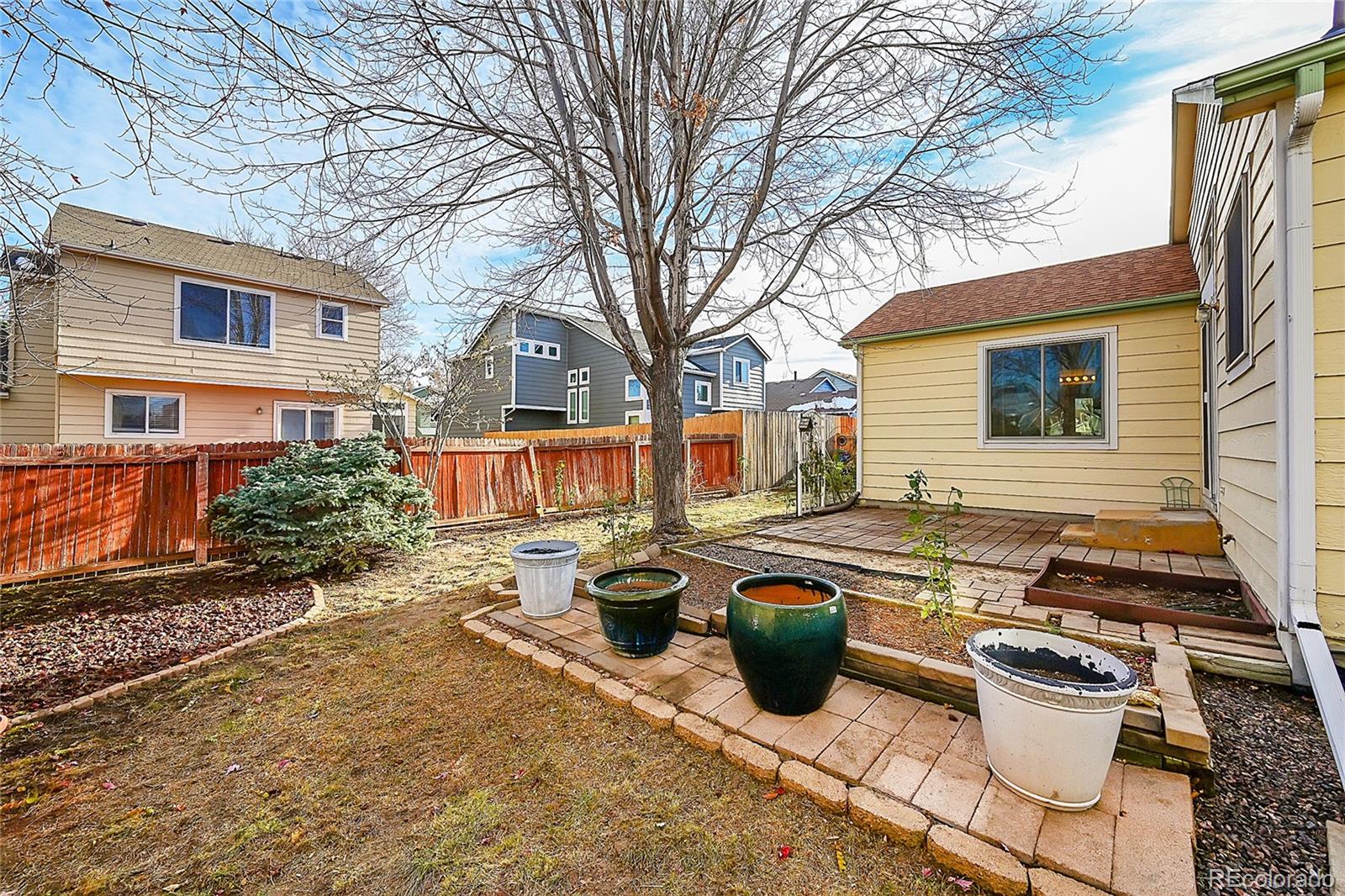 MLS Image #26 for 16964  dandelion way,parker, Colorado