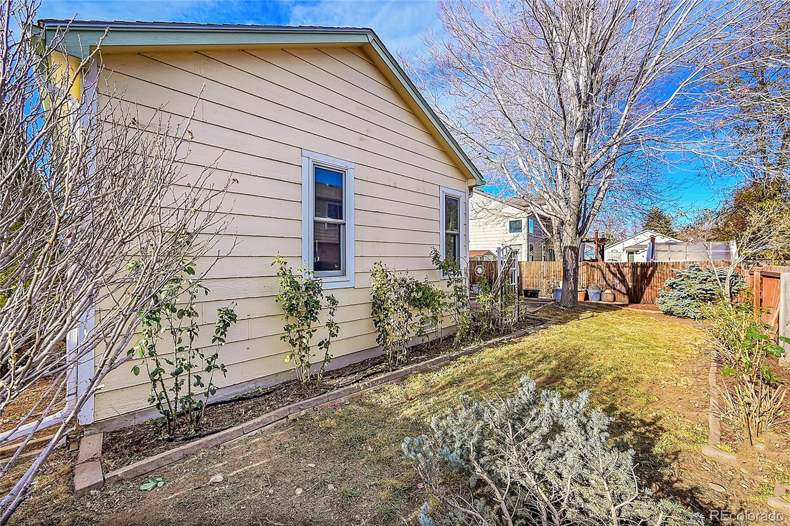 MLS Image #28 for 16964  dandelion way,parker, Colorado