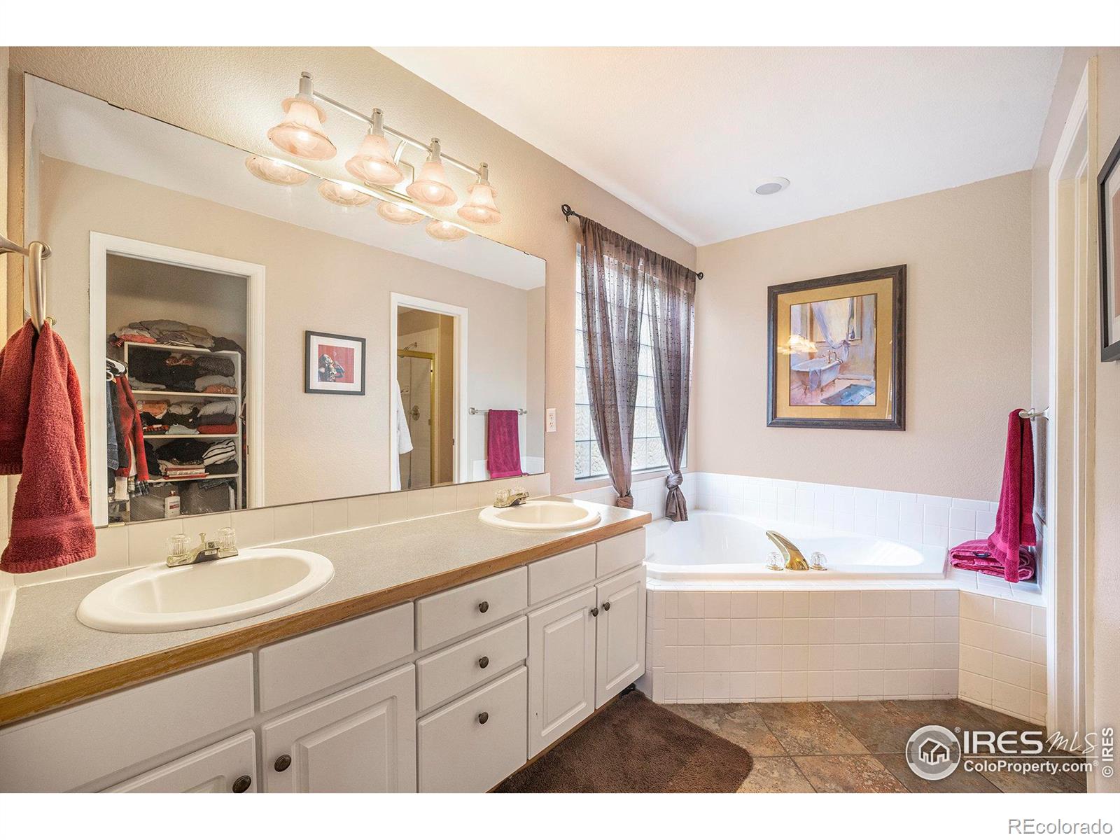 MLS Image #10 for 3500  swanstone drive,fort collins, Colorado