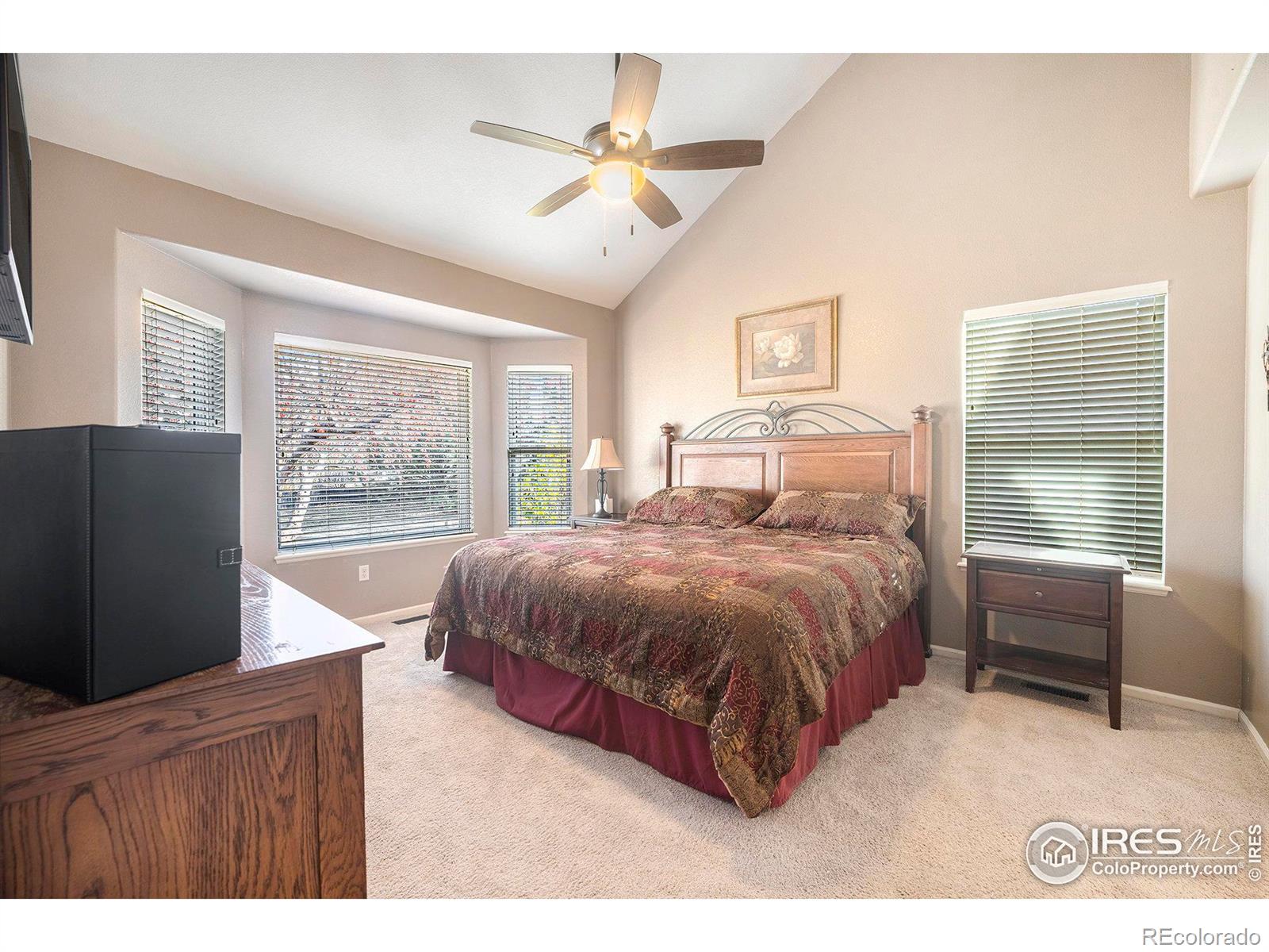MLS Image #12 for 3500  swanstone drive,fort collins, Colorado