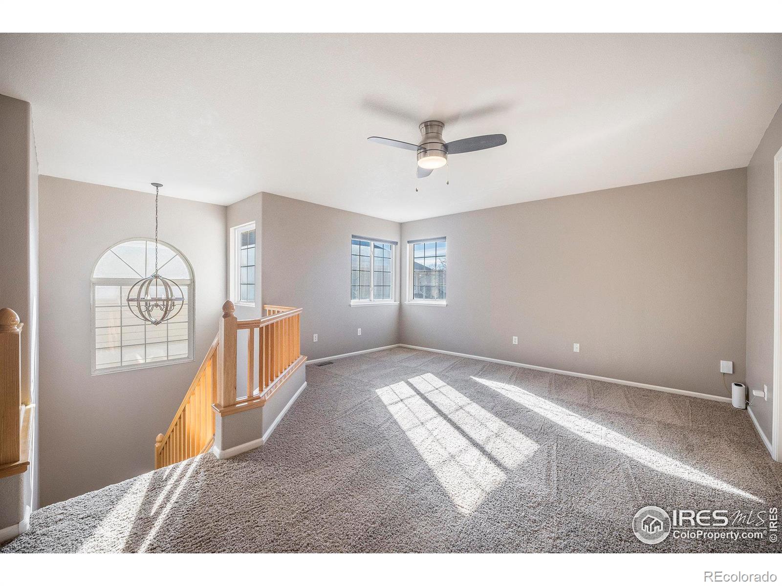 MLS Image #14 for 3500  swanstone drive,fort collins, Colorado