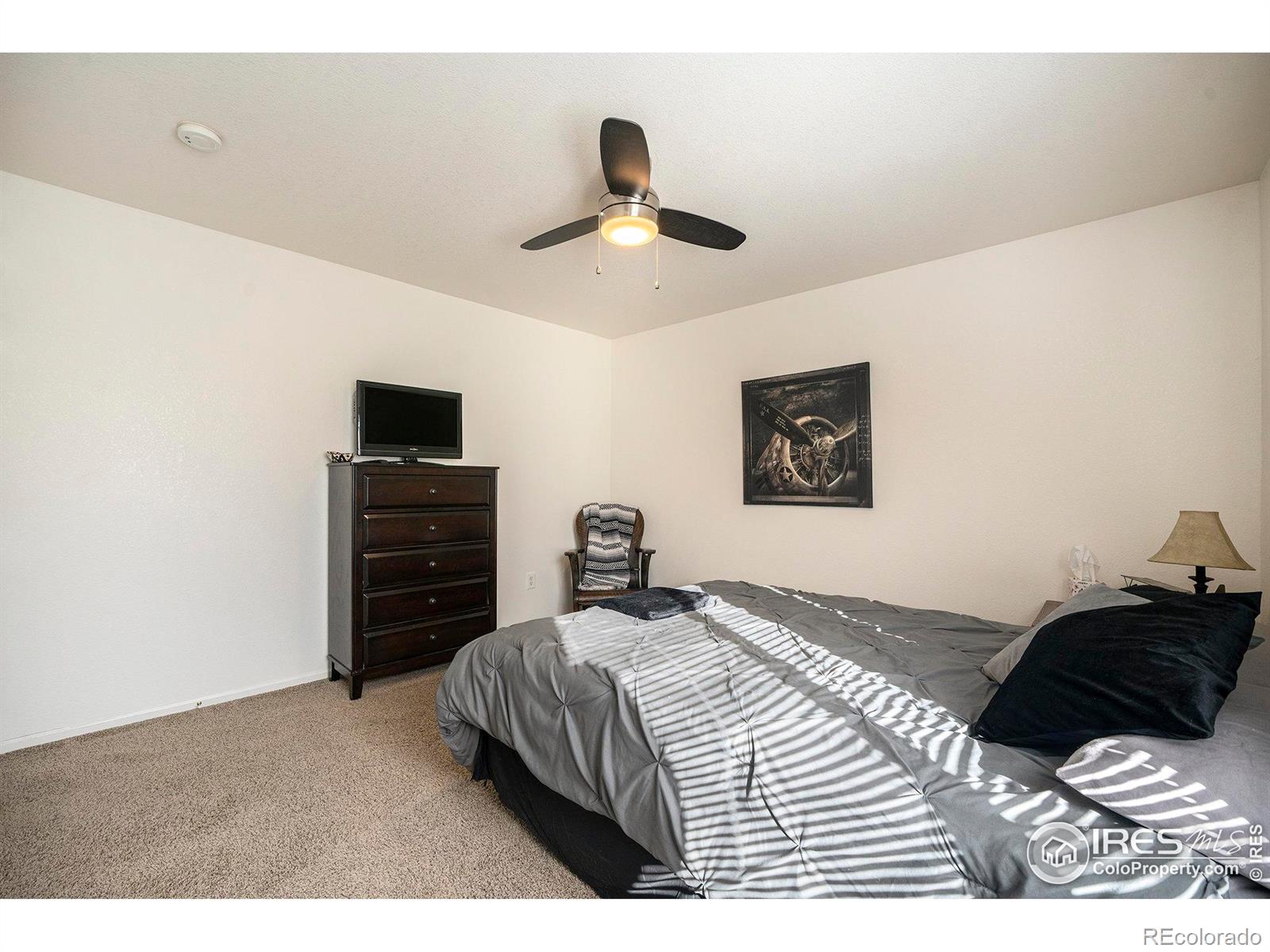 MLS Image #18 for 3500  swanstone drive,fort collins, Colorado