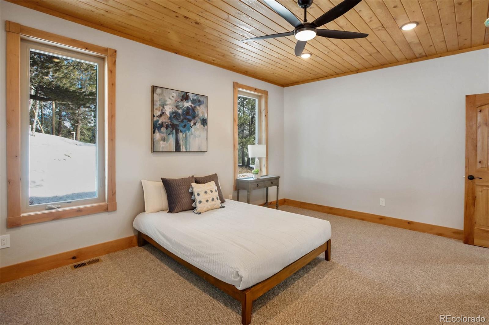 MLS Image #13 for 125  kestrel court,divide, Colorado