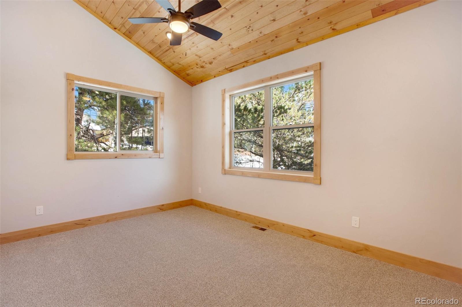 MLS Image #22 for 125  kestrel court,divide, Colorado