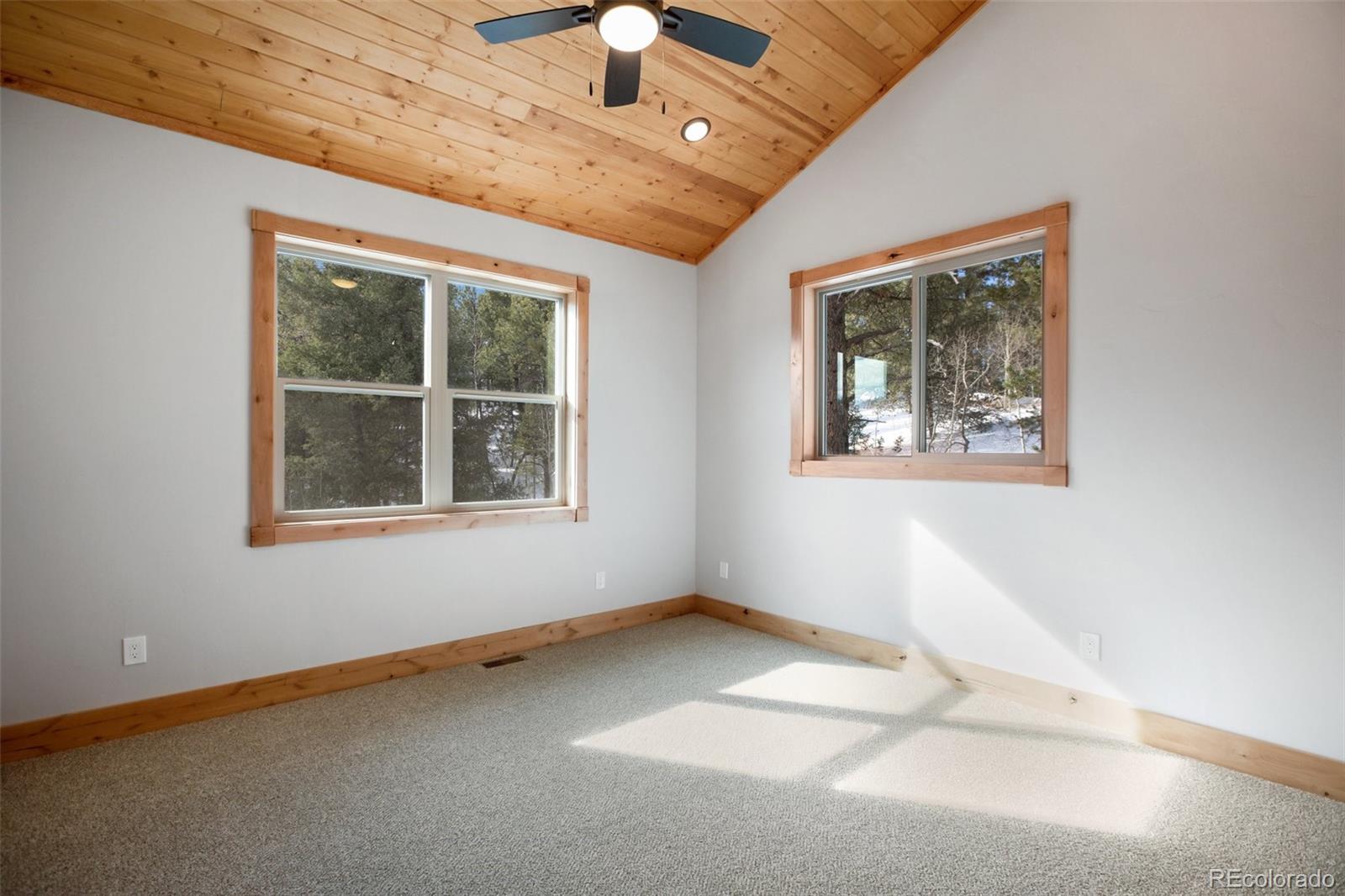 MLS Image #24 for 125  kestrel court,divide, Colorado