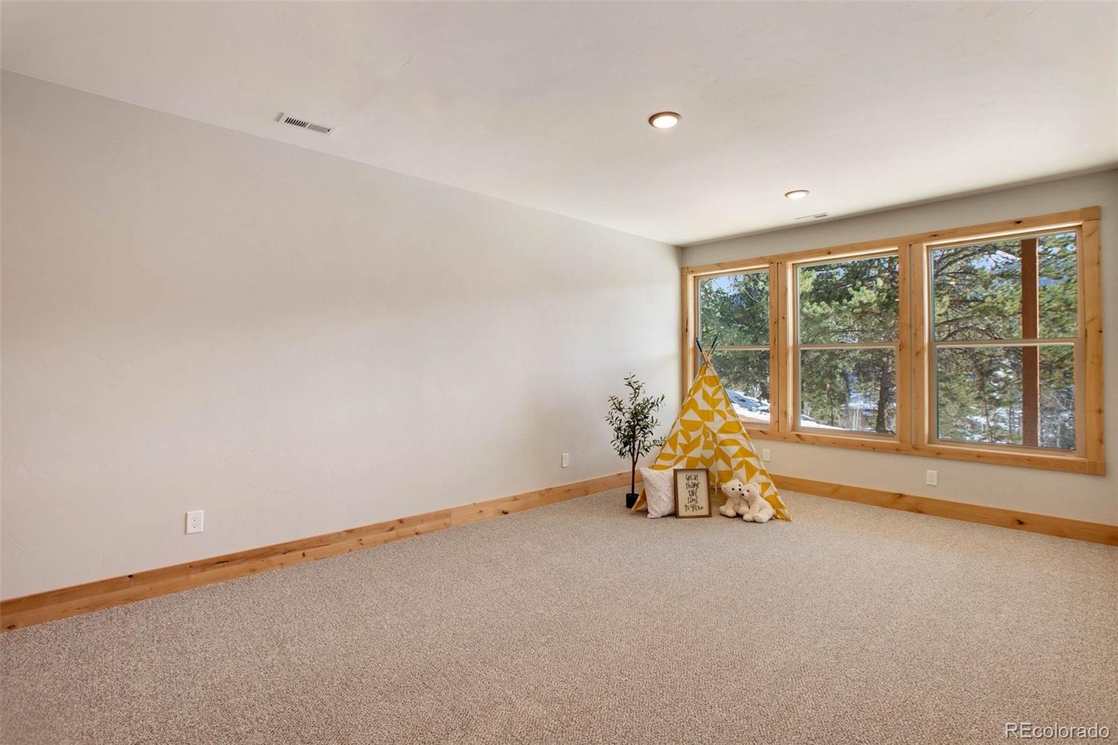 MLS Image #30 for 125  kestrel court,divide, Colorado