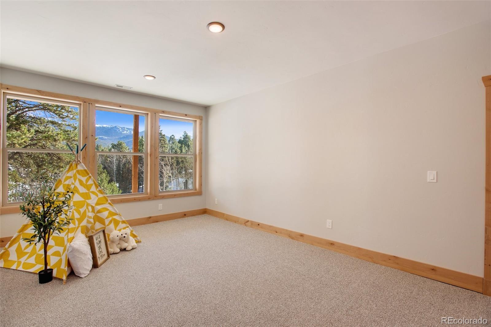 MLS Image #31 for 125  kestrel court,divide, Colorado