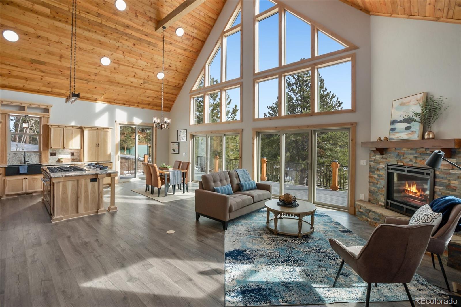 MLS Image #4 for 125  kestrel court,divide, Colorado