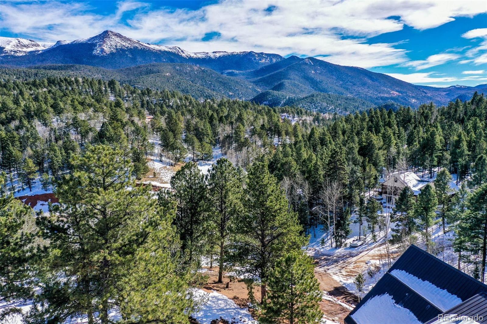 MLS Image #44 for 125  kestrel court,divide, Colorado