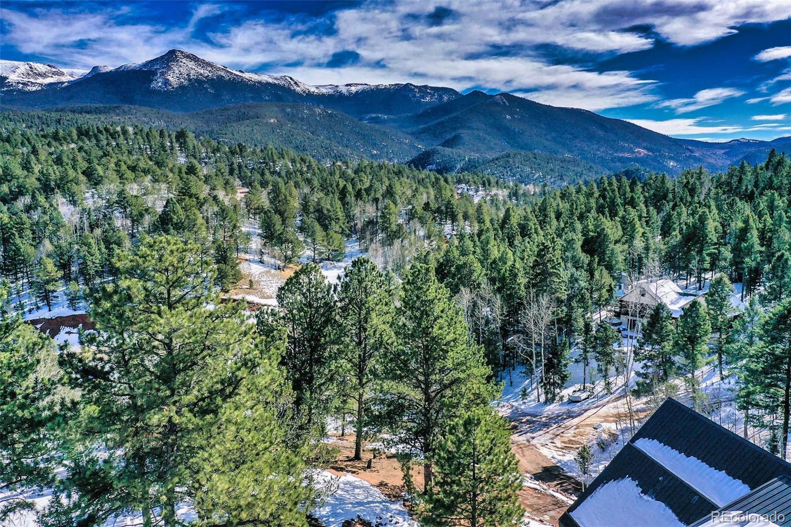 MLS Image #49 for 125  kestrel court,divide, Colorado