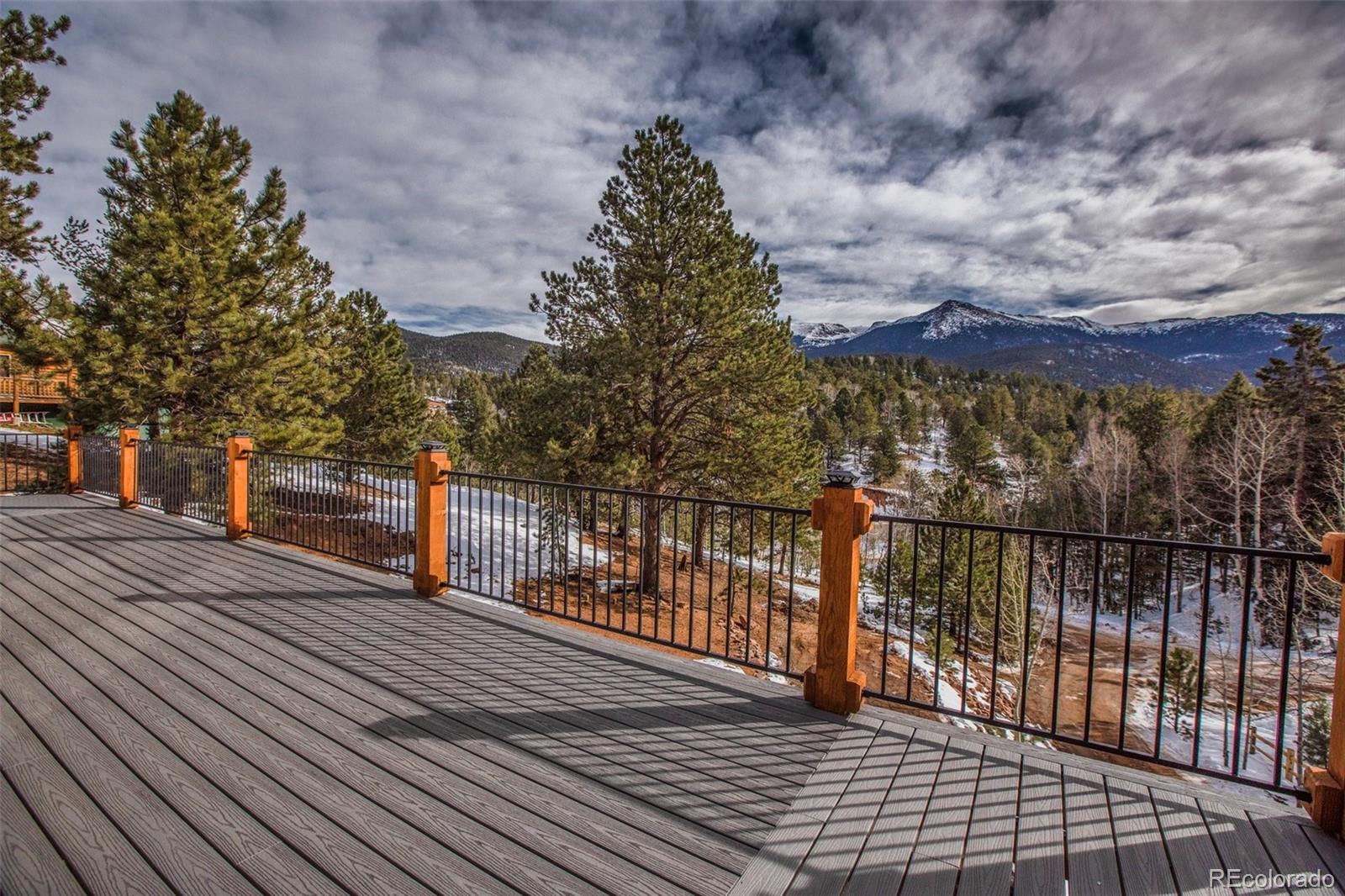MLS Image #8 for 125  kestrel court,divide, Colorado