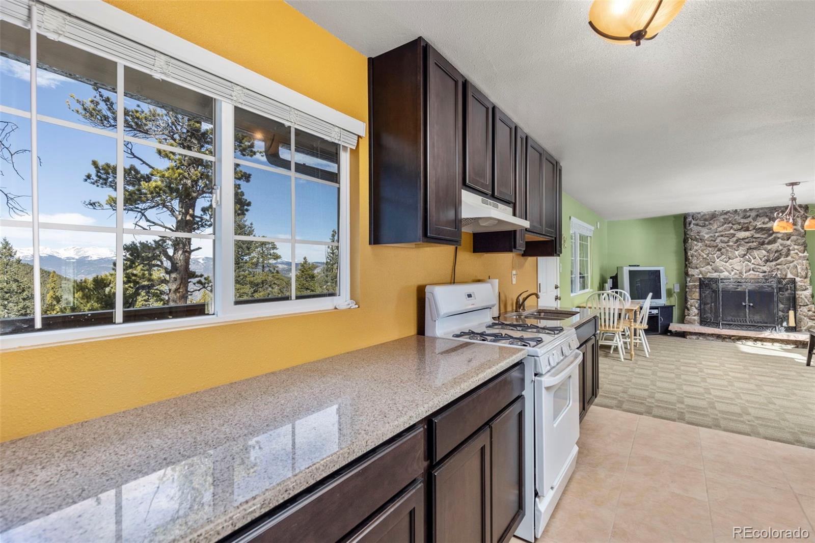 MLS Image #12 for 293  mountain view drive,idaho springs, Colorado