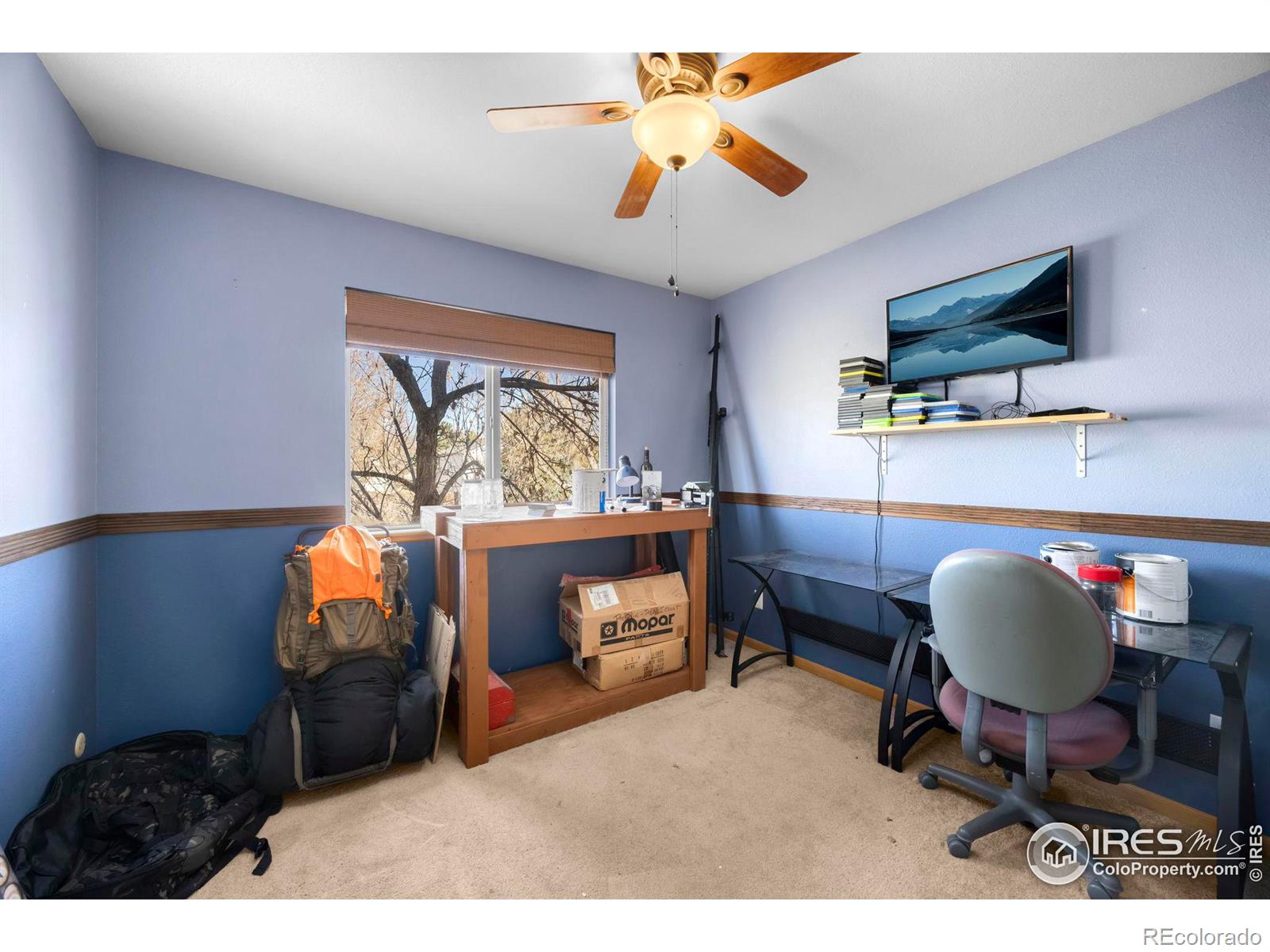 MLS Image #18 for 664  brewer drive,fort collins, Colorado