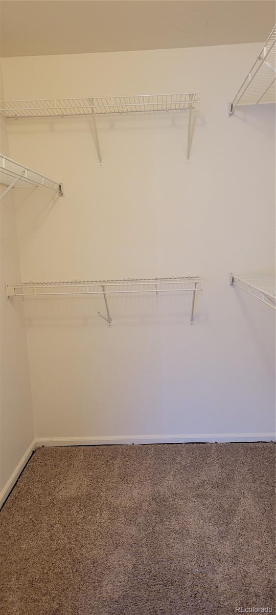 MLS Image #10 for 1355  lords hill drive,fountain, Colorado