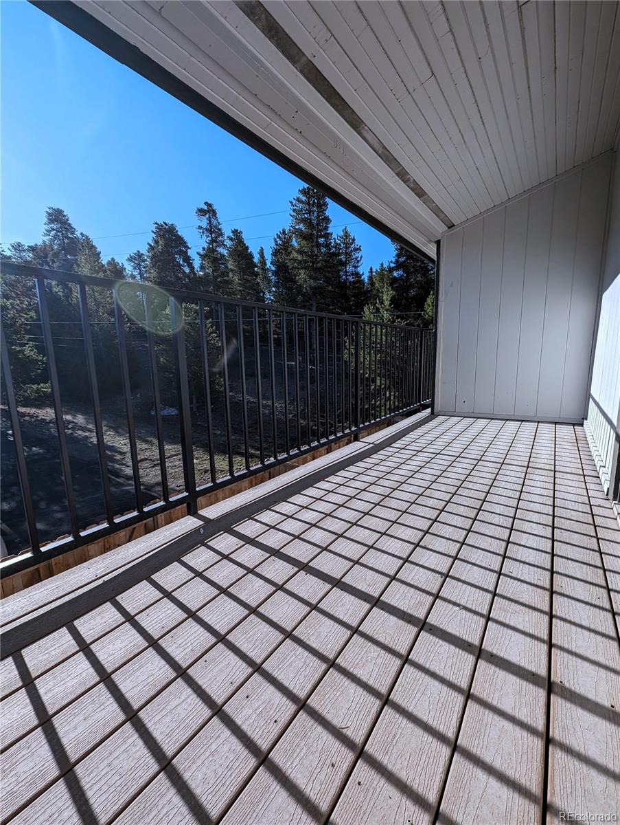 MLS Image #11 for 921  mt massive drive,leadville, Colorado