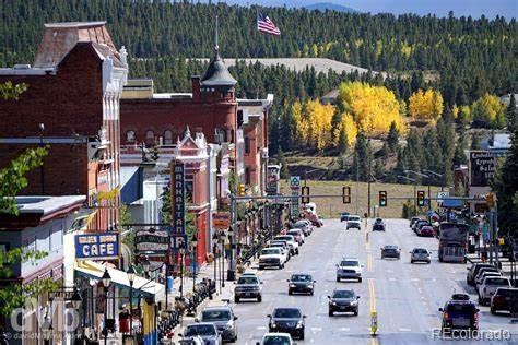 MLS Image #22 for 921  mt massive drive,leadville, Colorado