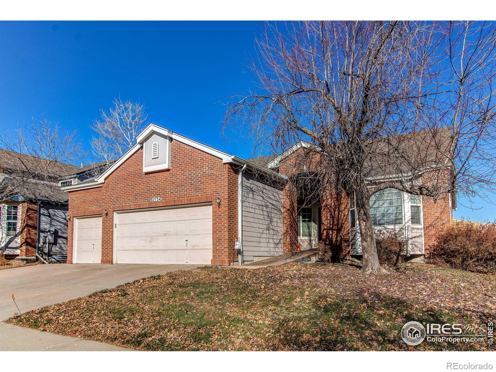 MLS Image #5 for 1534  harlequin drive,longmont, Colorado