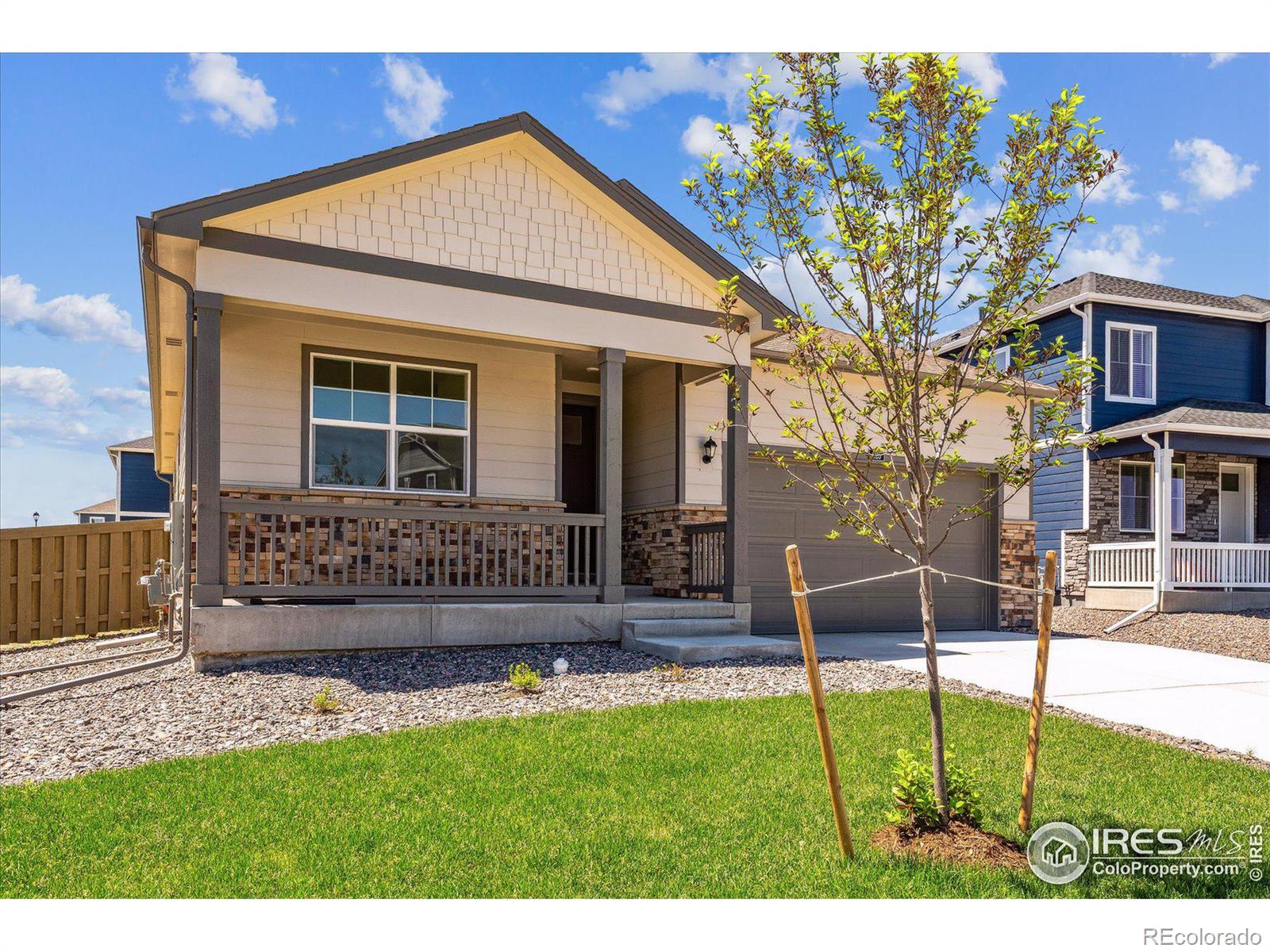 CMA Image for 4979  buelingo drive,Windsor, Colorado