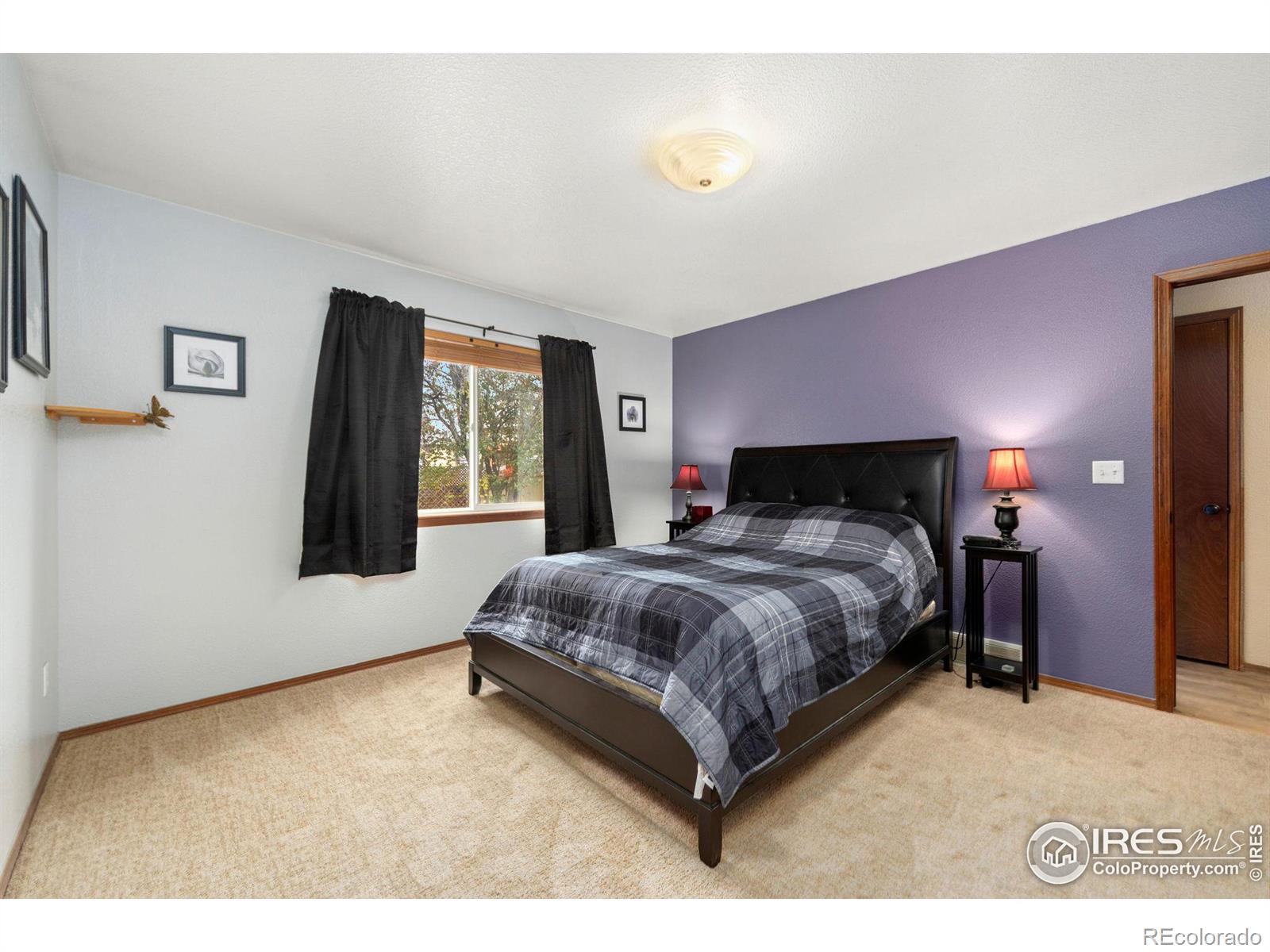 MLS Image #9 for 401  12th street,windsor, Colorado