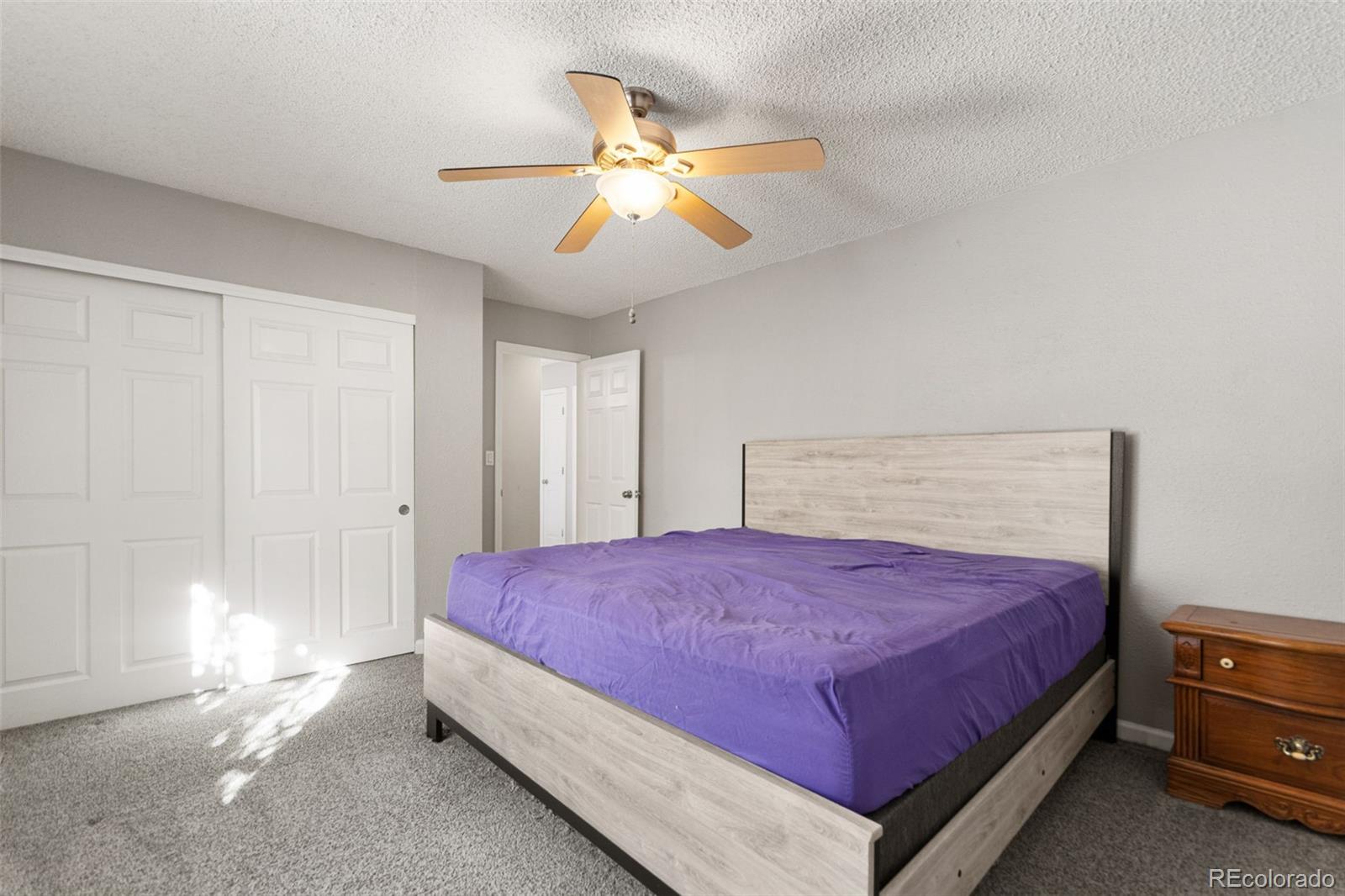 MLS Image #15 for 255  cleveland court,bennett, Colorado