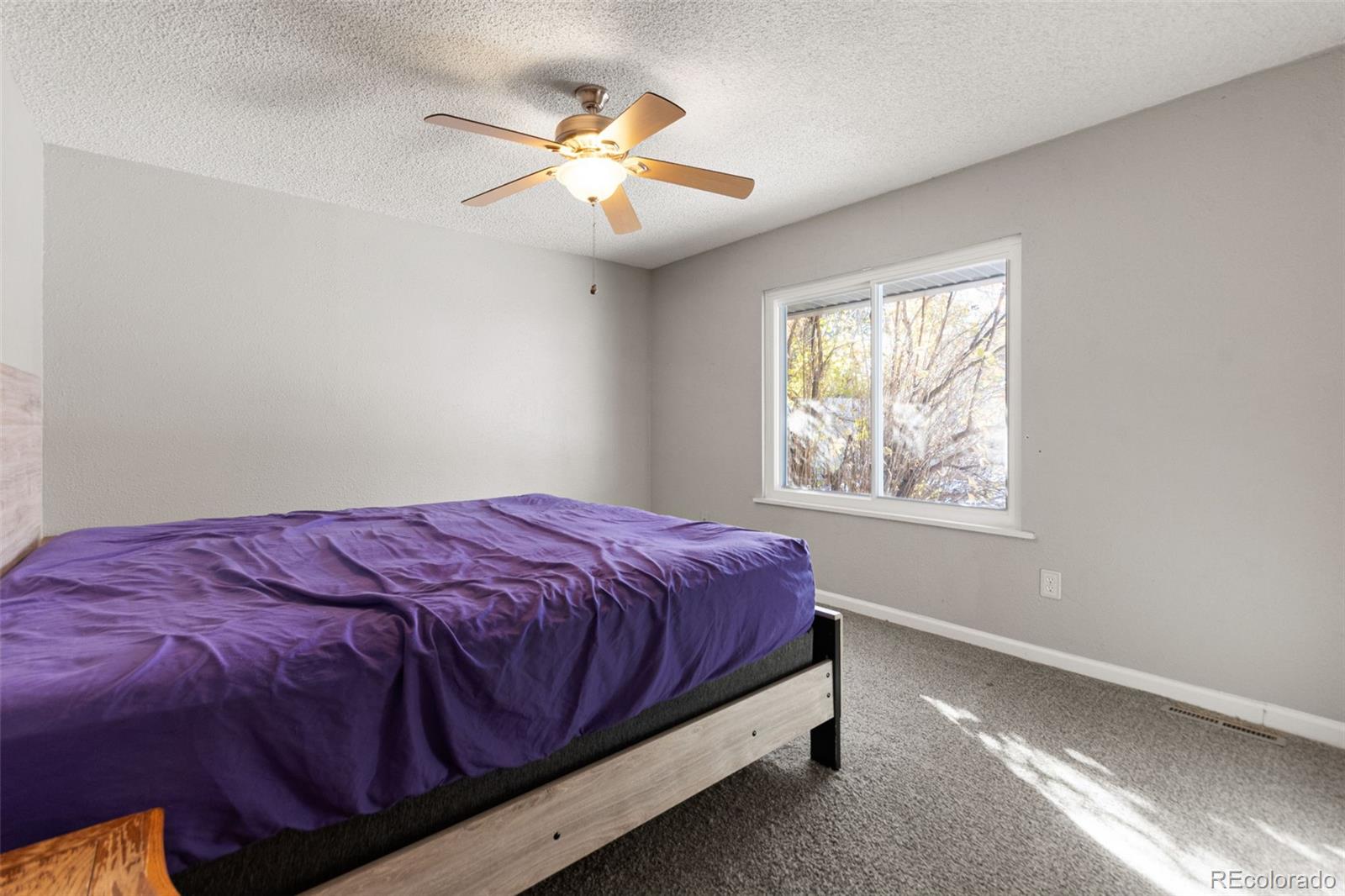 MLS Image #17 for 255  cleveland court,bennett, Colorado