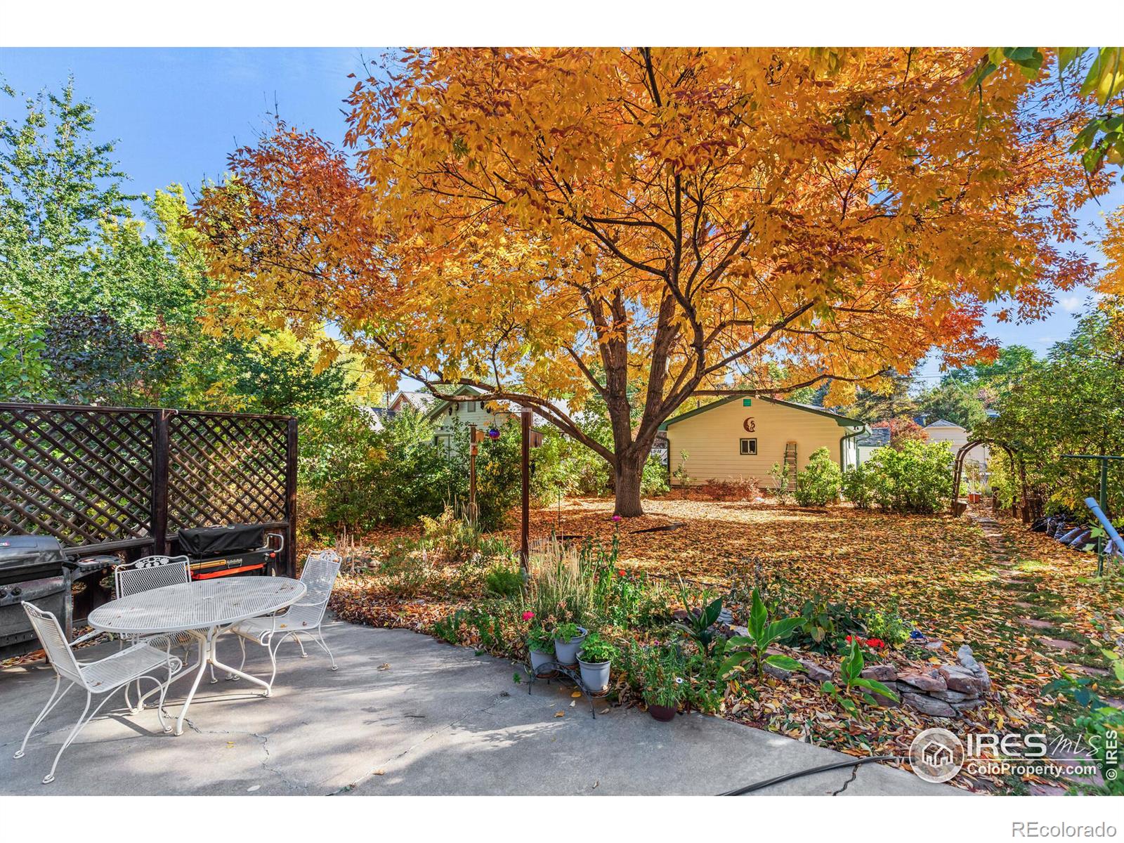 MLS Image #10 for 624  emery street,longmont, Colorado