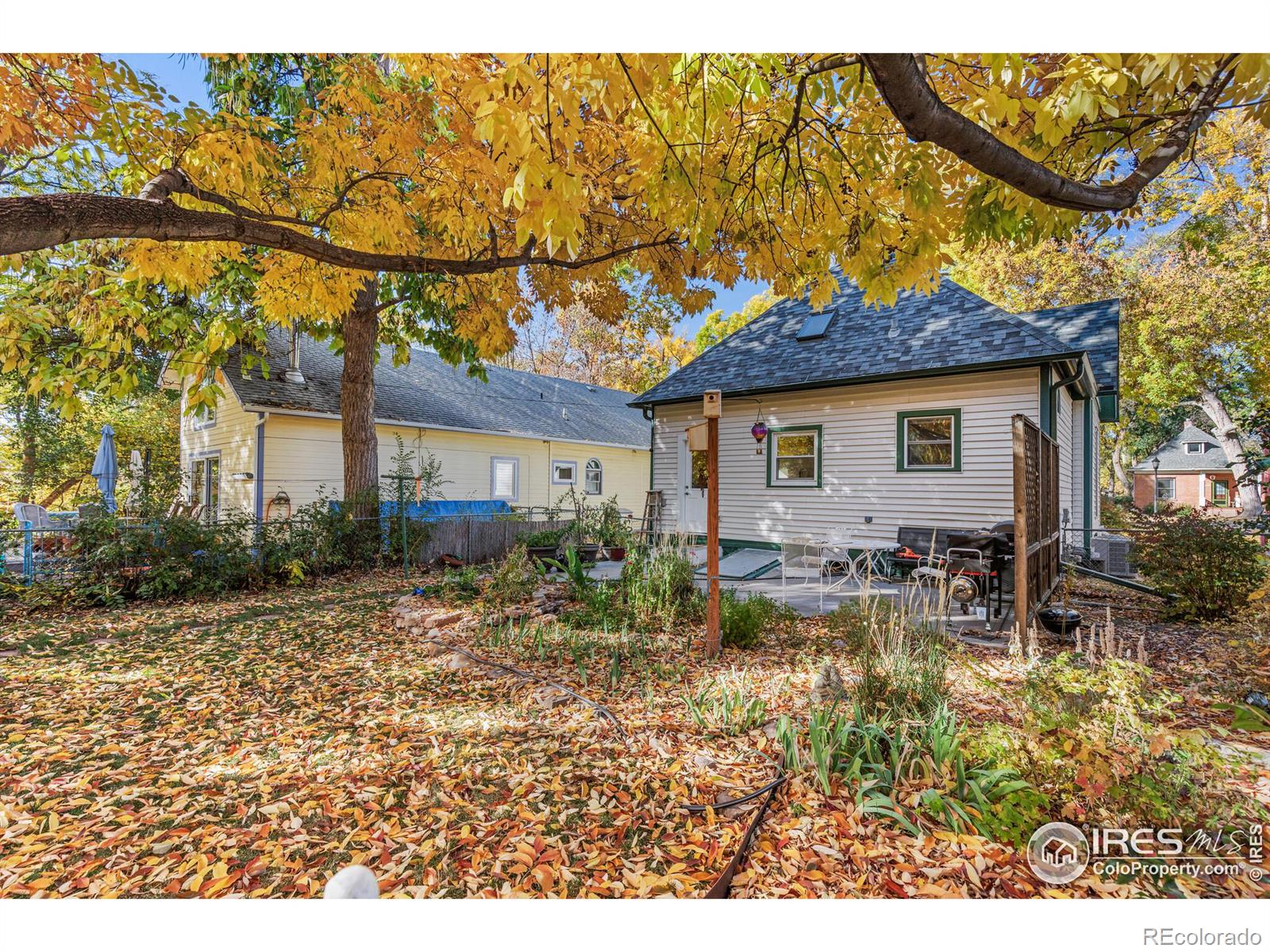 MLS Image #11 for 624  emery street,longmont, Colorado