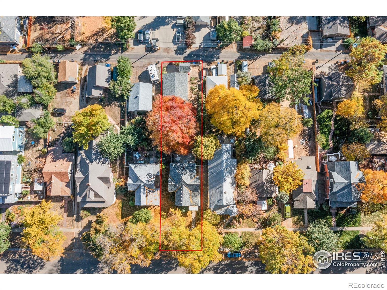 MLS Image #33 for 624  emery street,longmont, Colorado