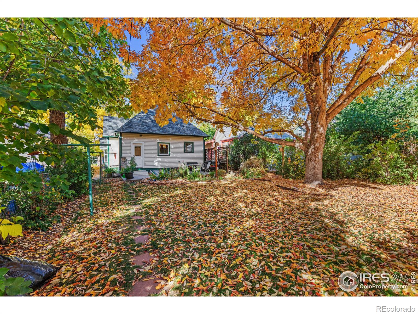 MLS Image #6 for 624  emery street,longmont, Colorado