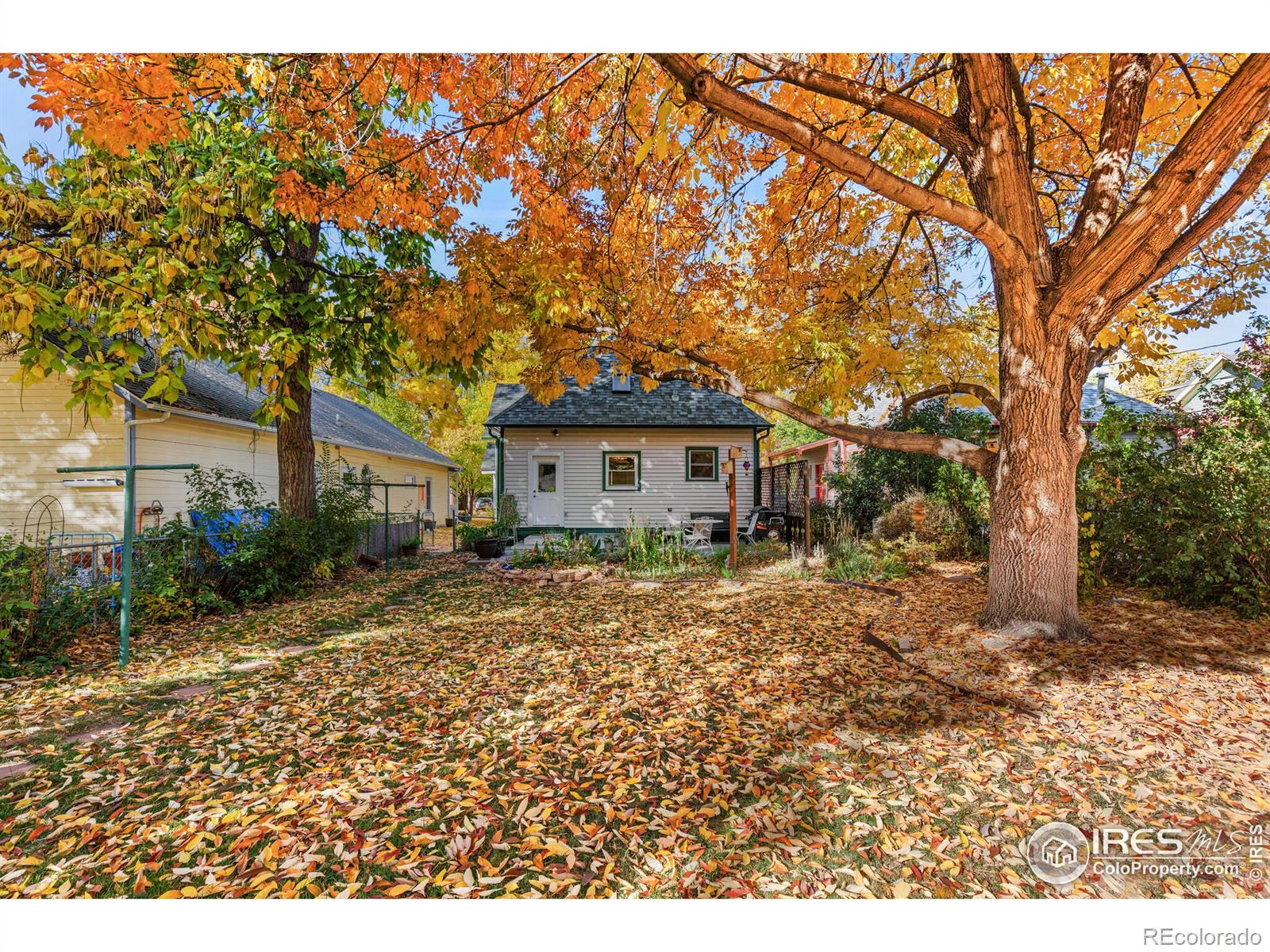 MLS Image #7 for 624  emery street,longmont, Colorado