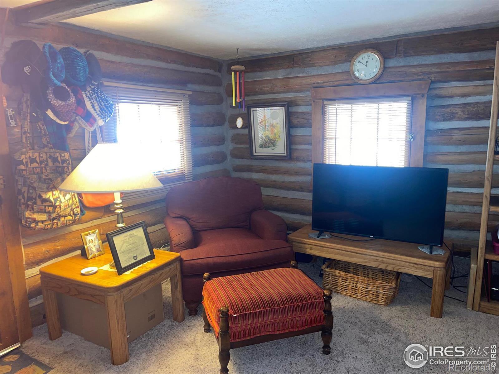 MLS Image #24 for 36  2nd avenue,allenspark, Colorado