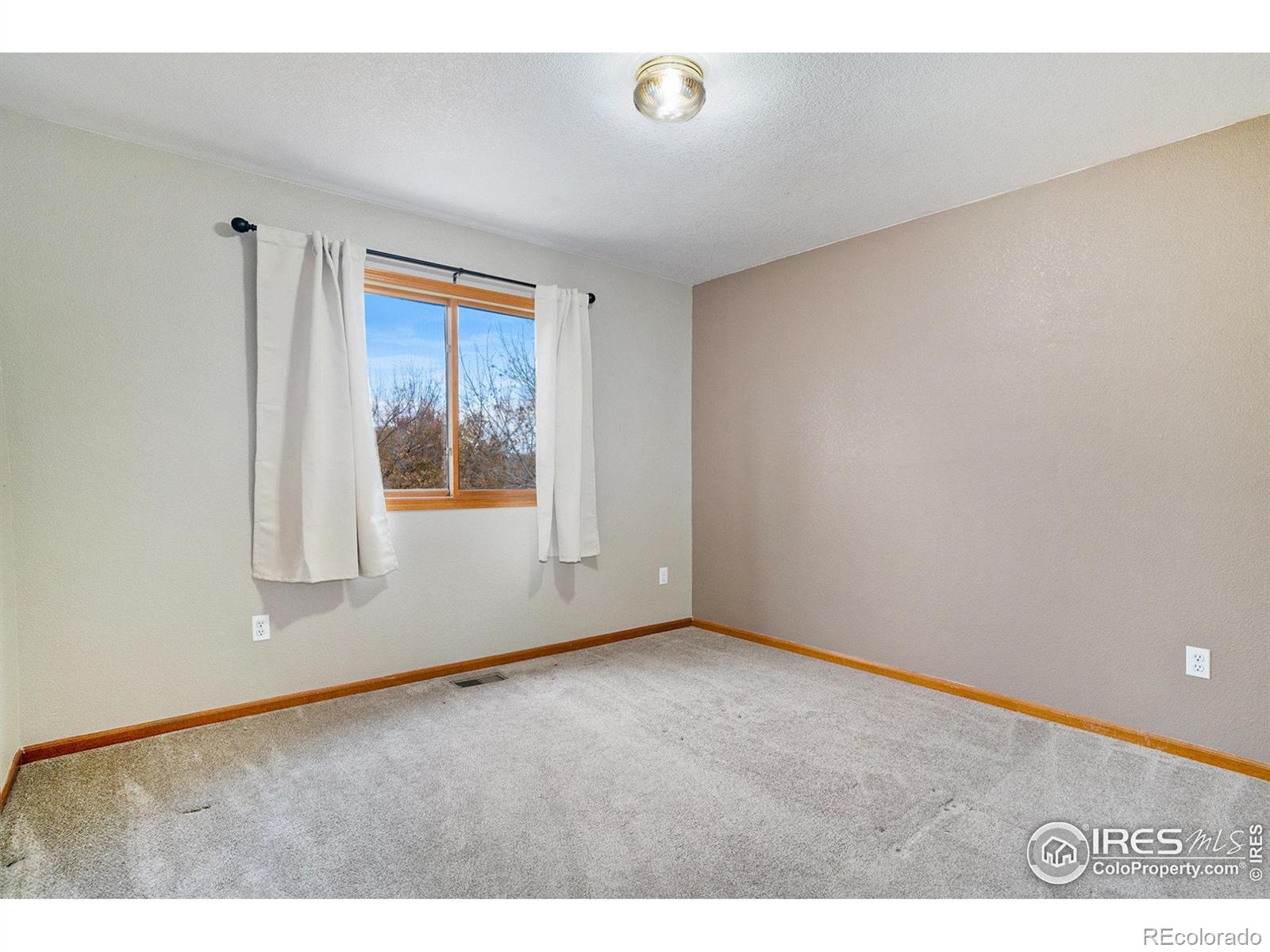 MLS Image #20 for 1100  arapahoe avenue,berthoud, Colorado