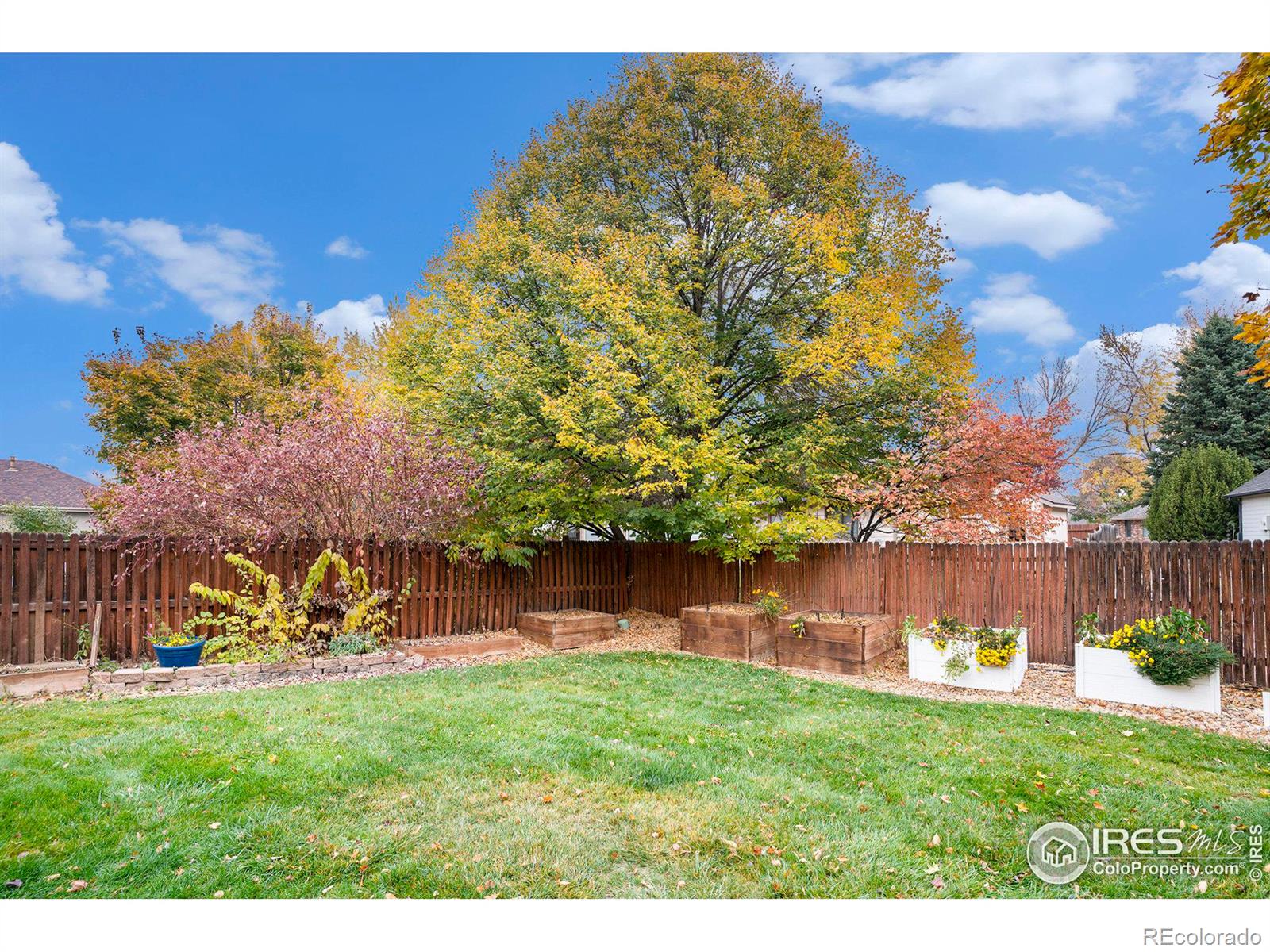 MLS Image #36 for 1100  arapahoe avenue,berthoud, Colorado